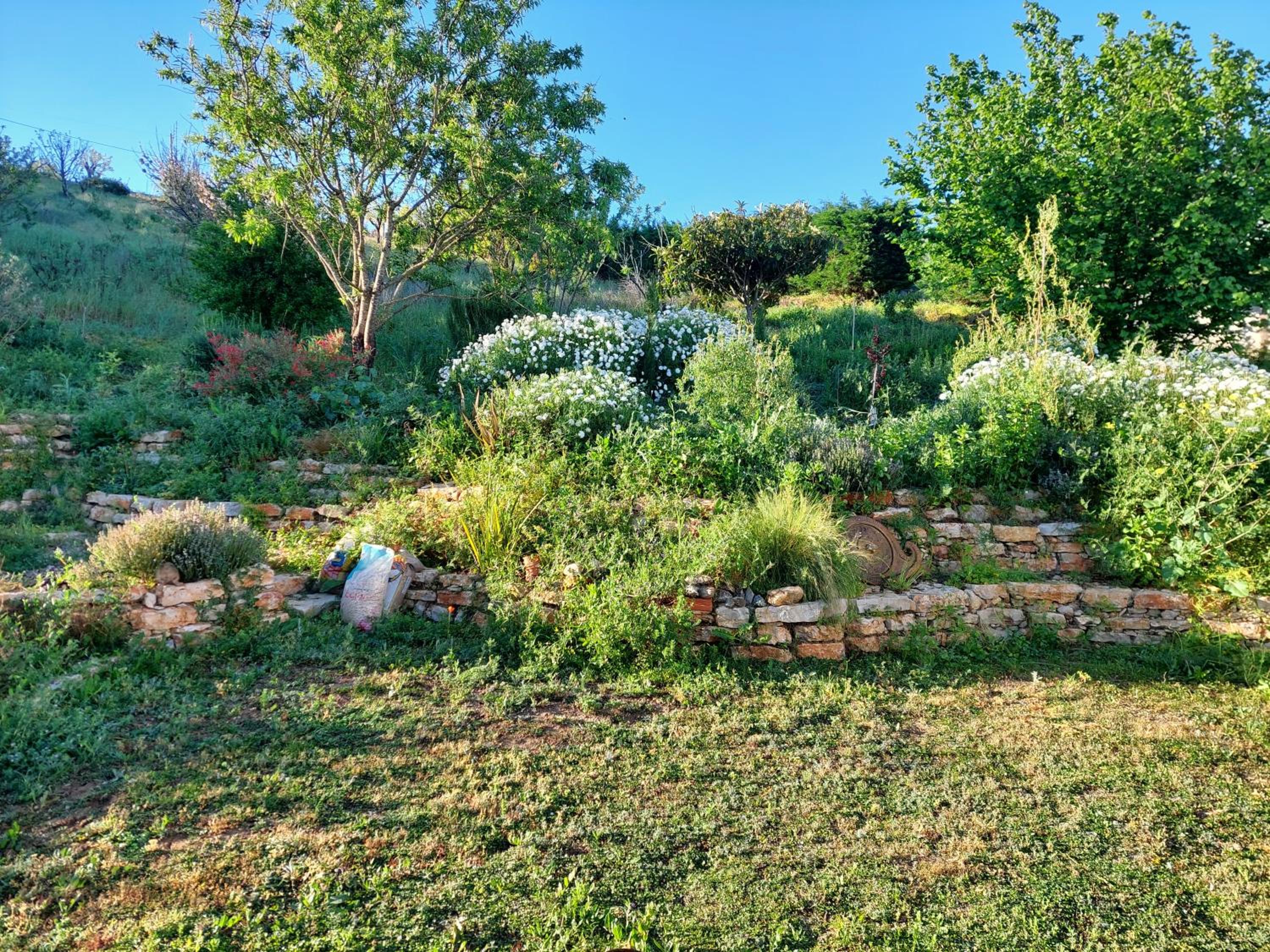 Quinta TreeWindBee view 5