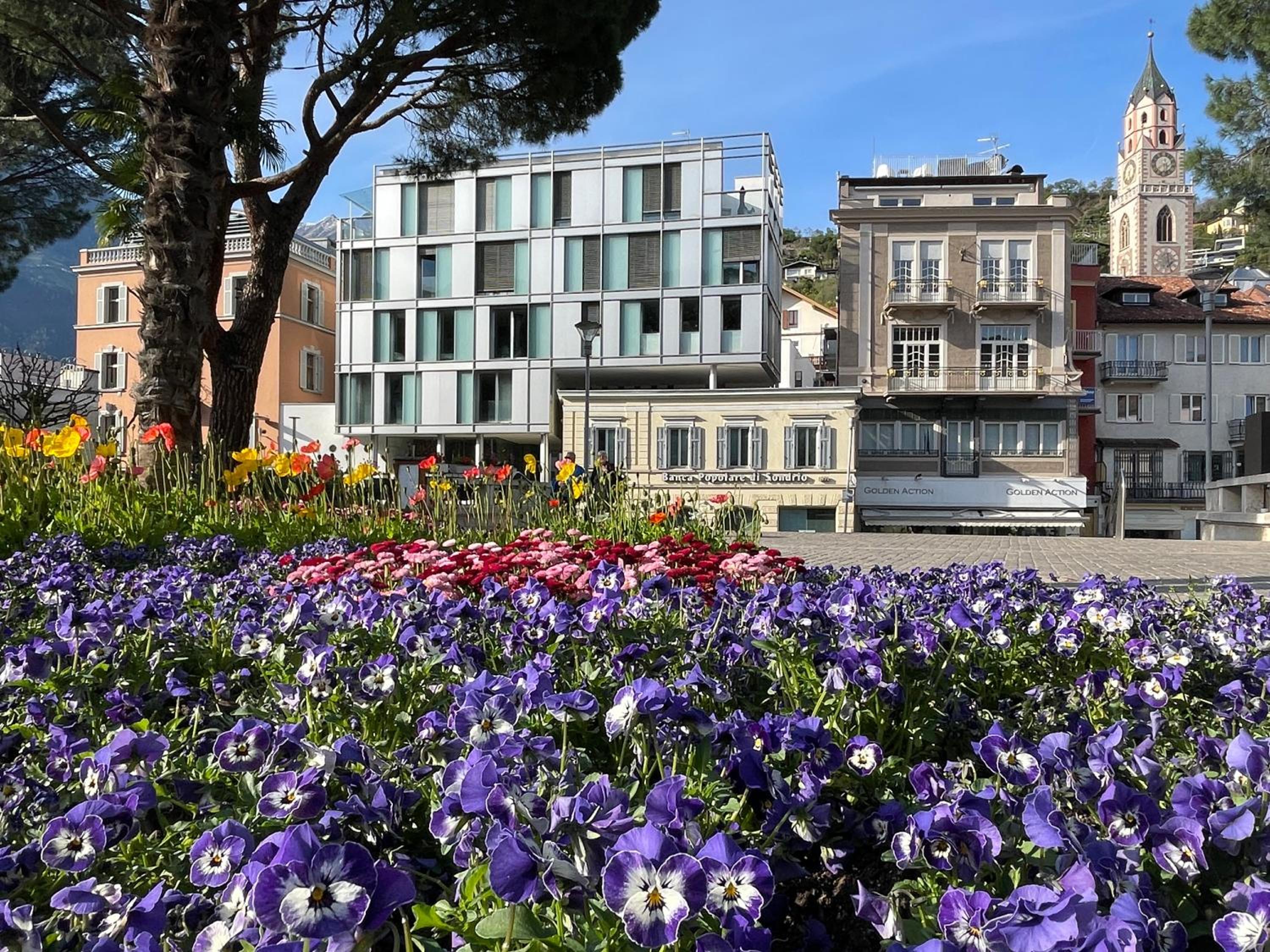 Kurhaus Apartment + parking view 3