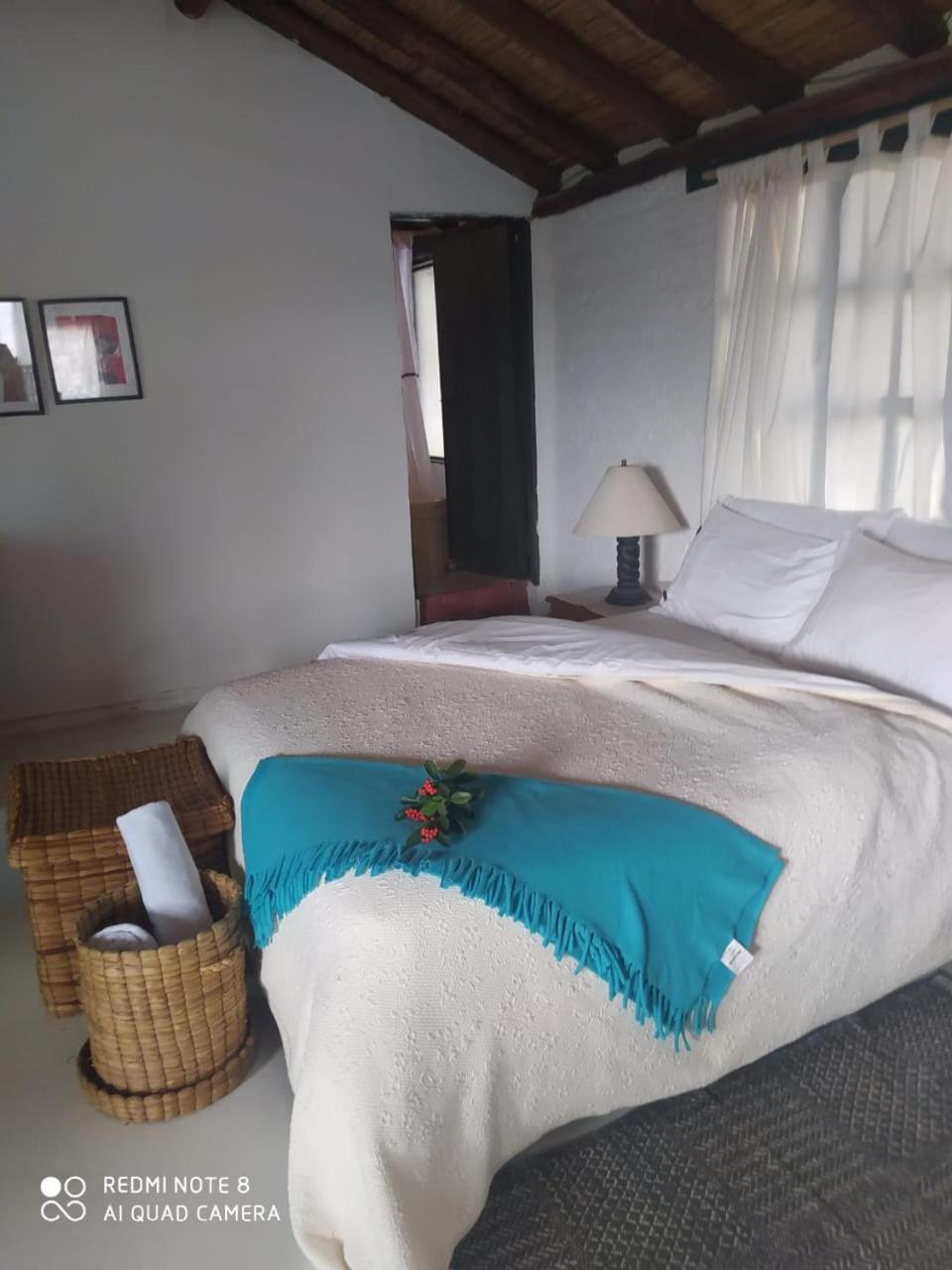 El Hayuelo Ecolodge