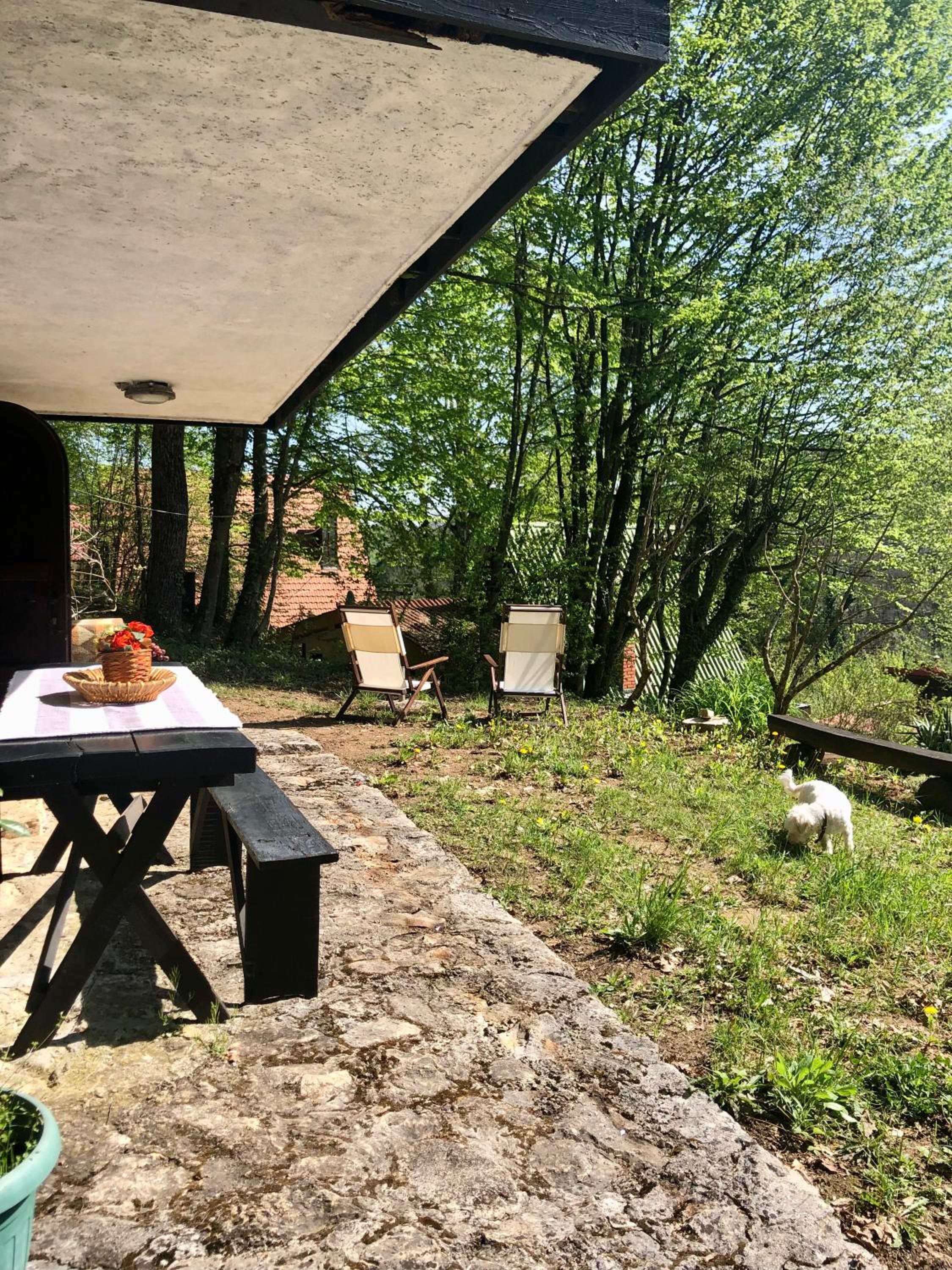 Mrežnički doživljaj