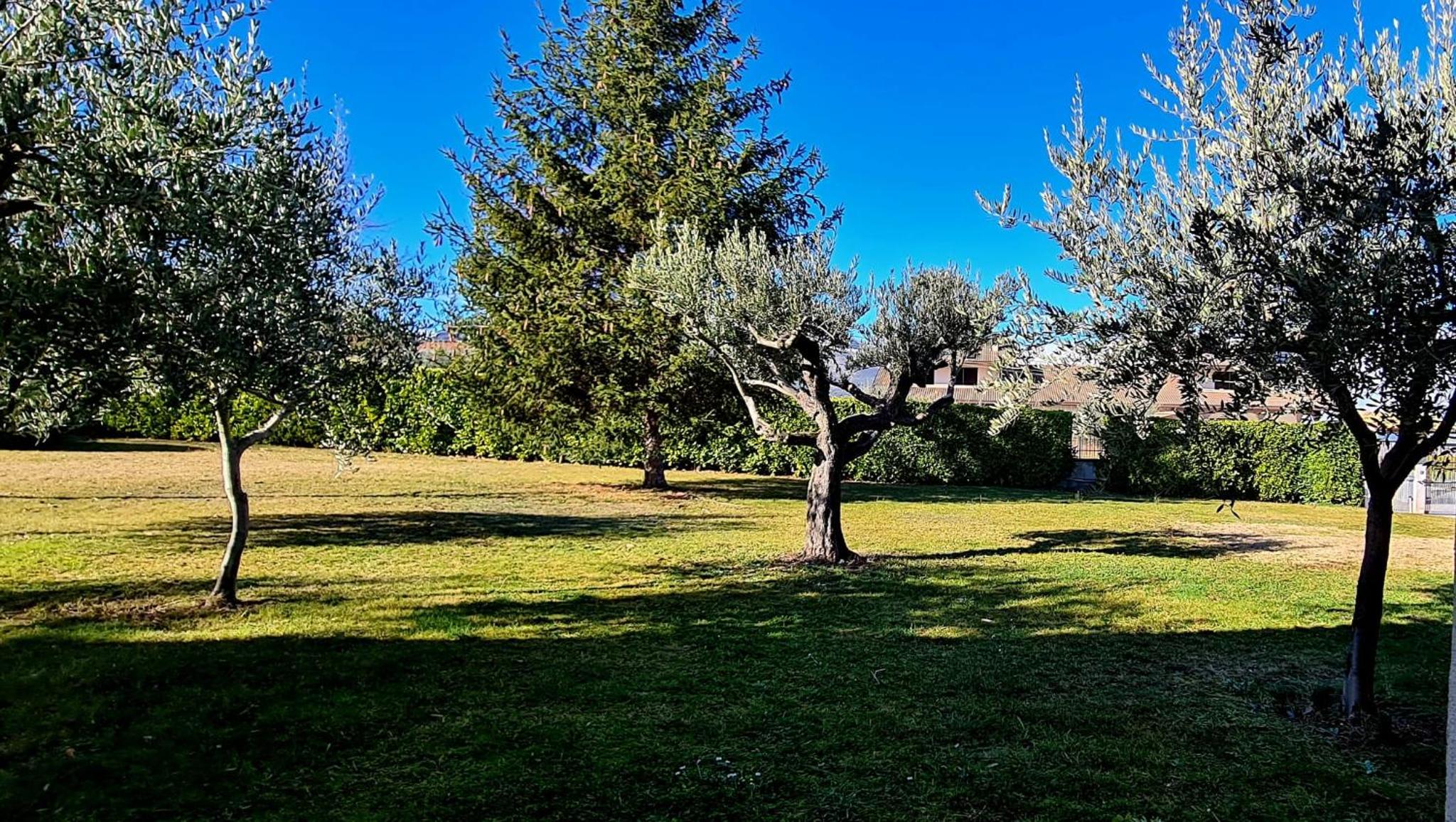 Green Paradise