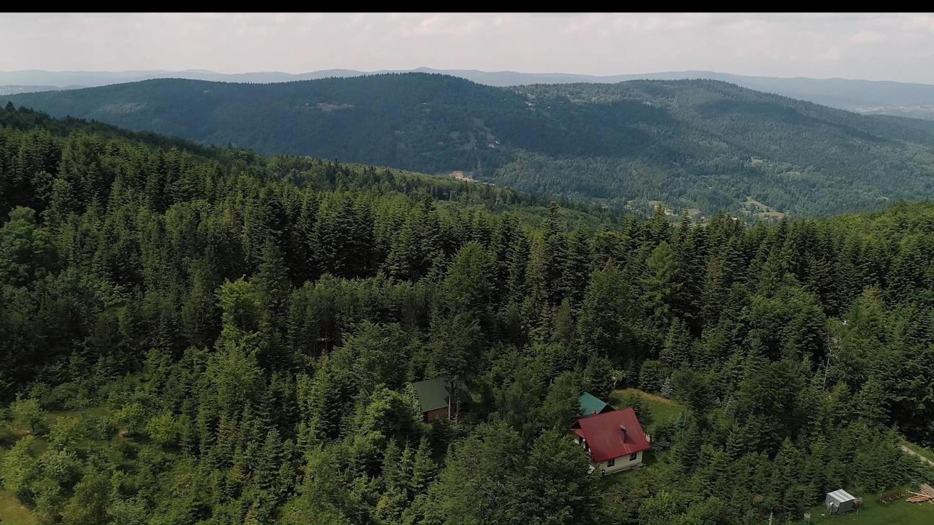 Kolędówka Rest, photo 56