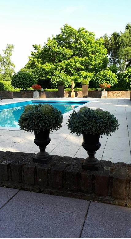 Villa Haagdoorn te Achel, 10 personen, 12 personen op aanvraag, met Ecologisch zwembad in een oase van rust!