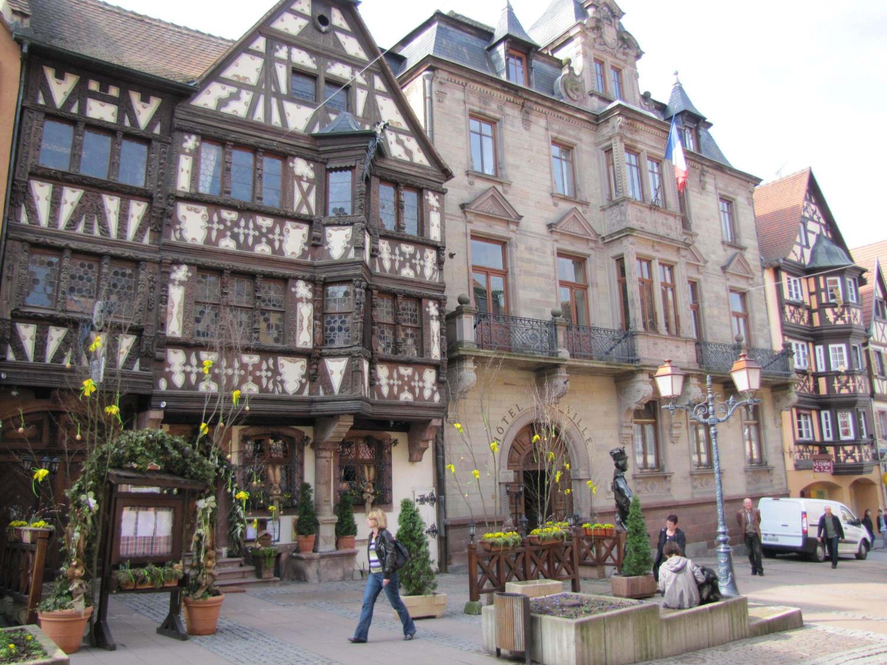 Photo 19
