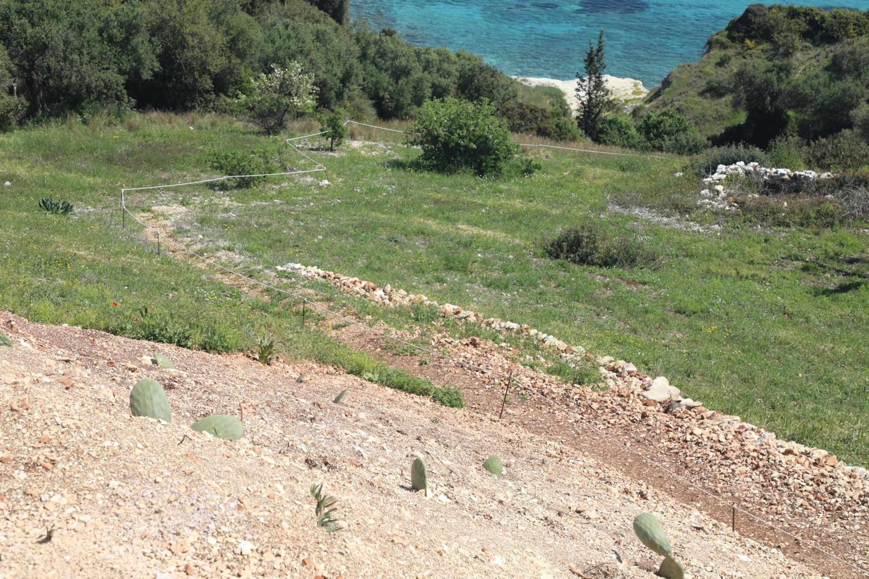 Zante Xigia Bay villas view 4