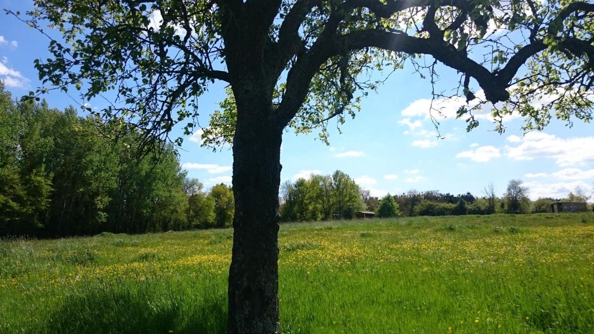 Domaine de la Grangée