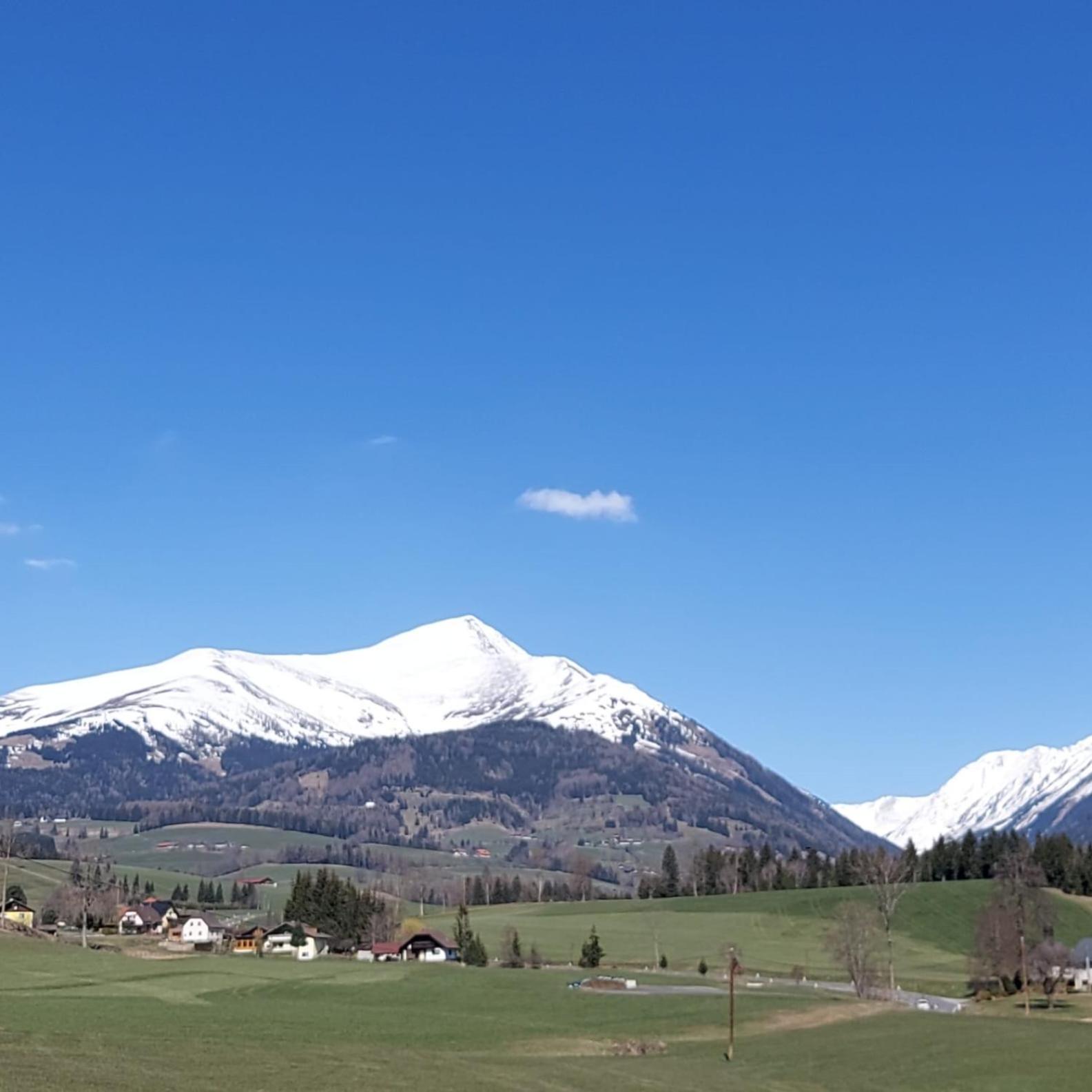 Greimblick