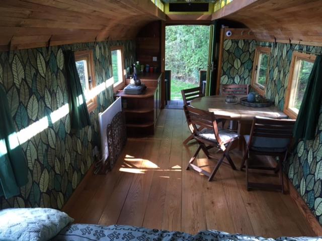 Ecostay de Wildernis