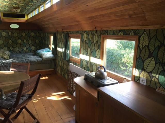 Ecostay de Wildernis