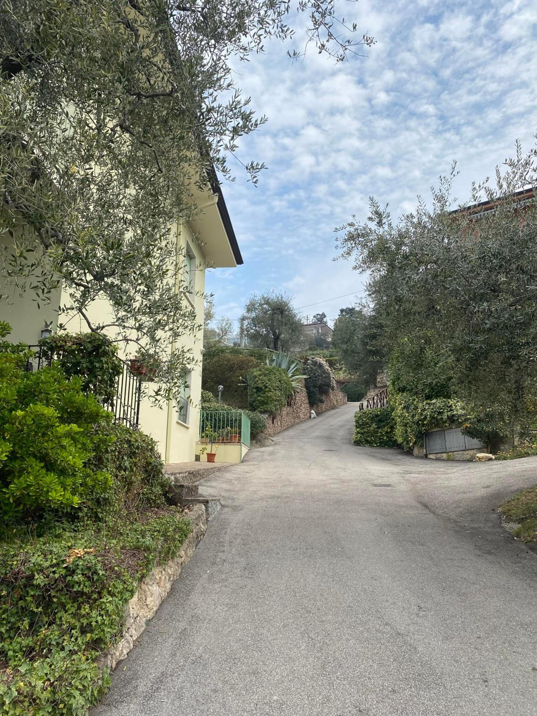 Oleander House apartments view 5