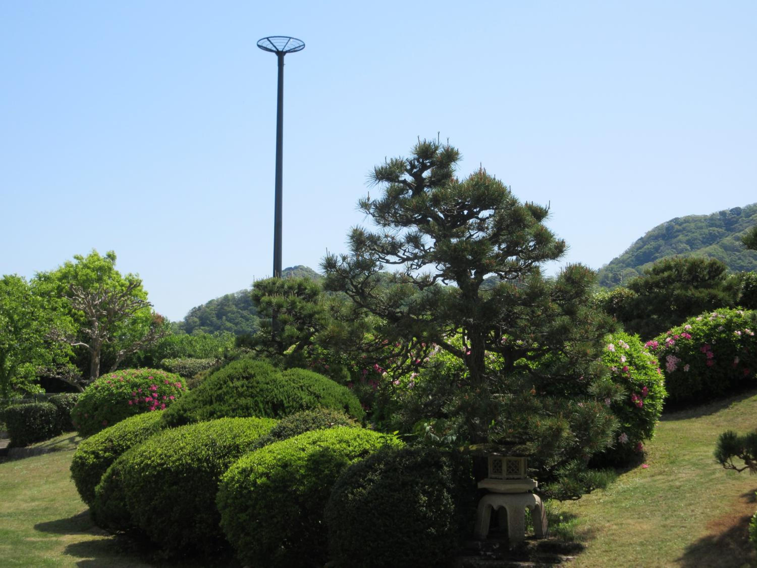 Photo 40