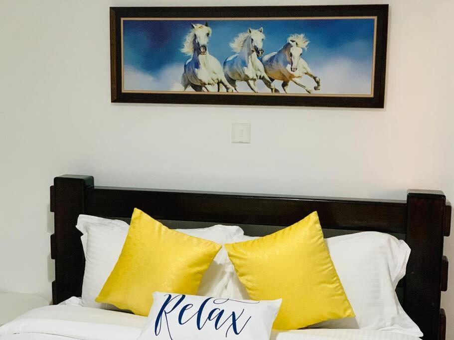 Levi's 1 Bedroom Apartment California Plaza Nanyuki