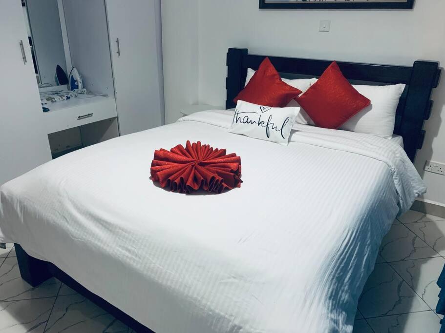 Levi's 1 Bedroom Apartment California Plaza Nanyuki