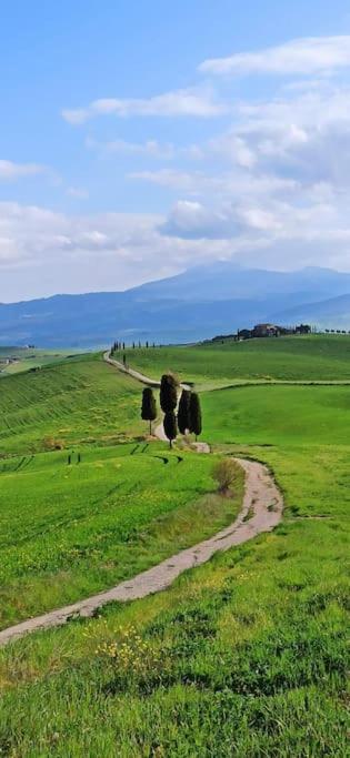 Splendido ampio appartamento a Montepulciano view 5