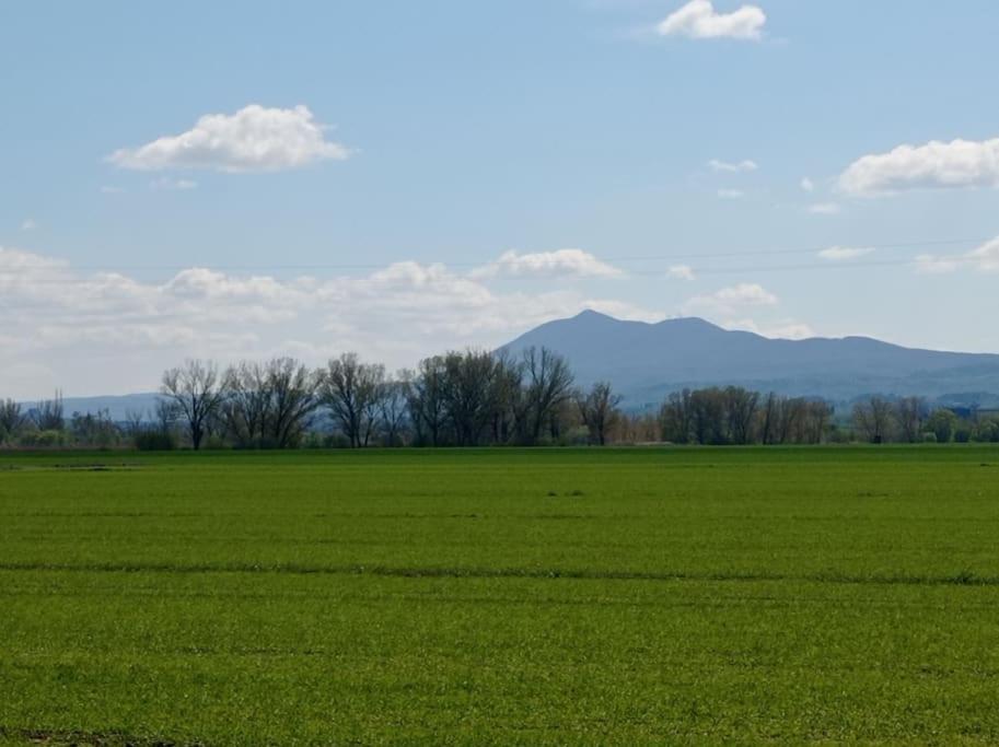 Splendido ampio appartamento a Montepulciano view 4