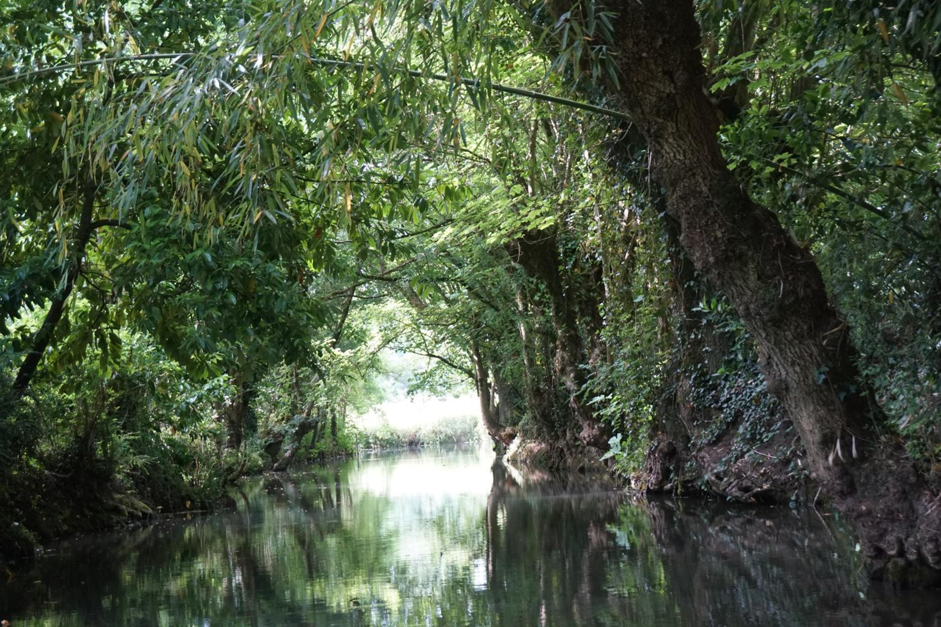 Un trois étoiles entre La Rochelle et les marais poitevin