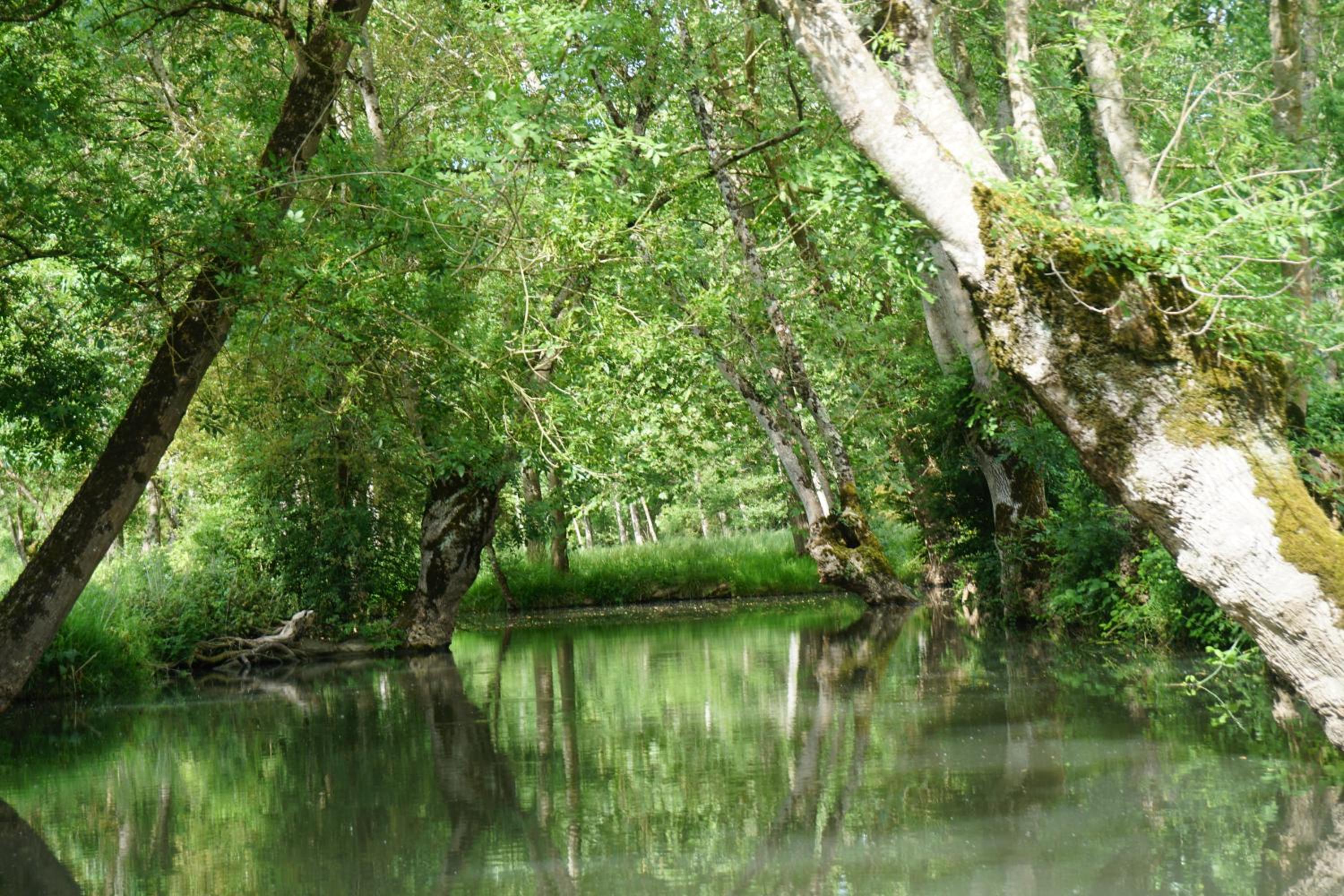 Un trois étoiles entre La Rochelle et les marais poitevin