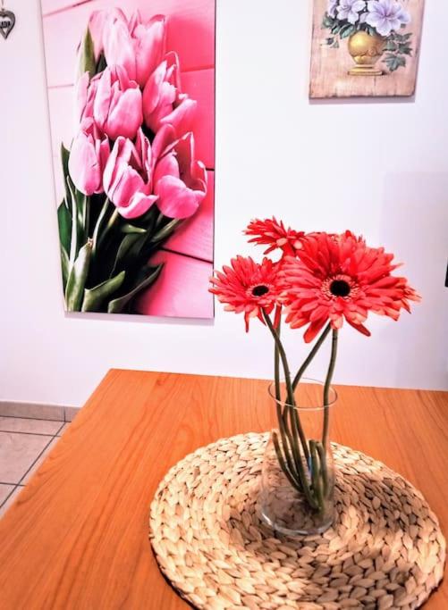Casa dei fiori monolocale, photo 21