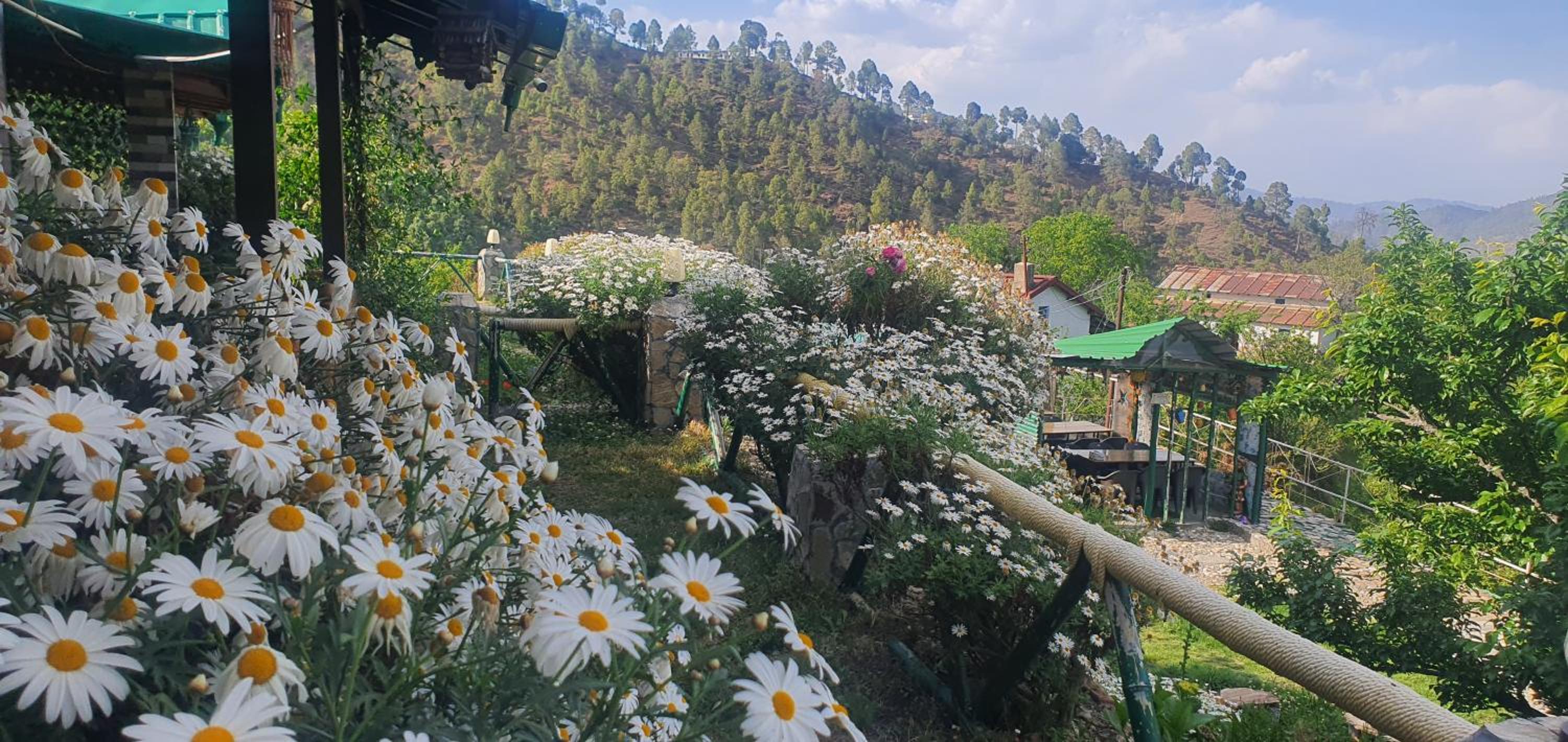 S K and Shiv Cottages view 3