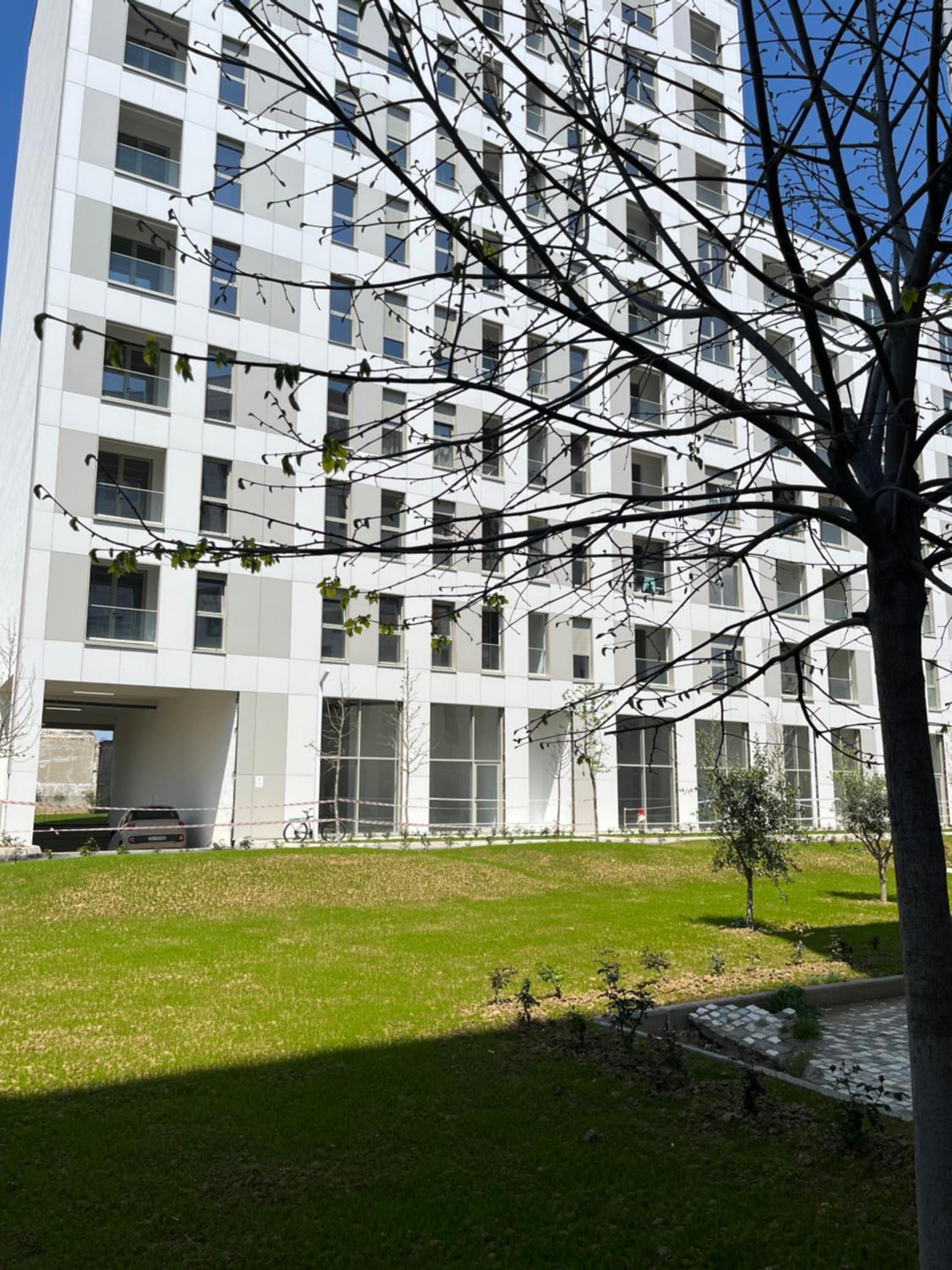 Comfy Nest Apartment- free parking