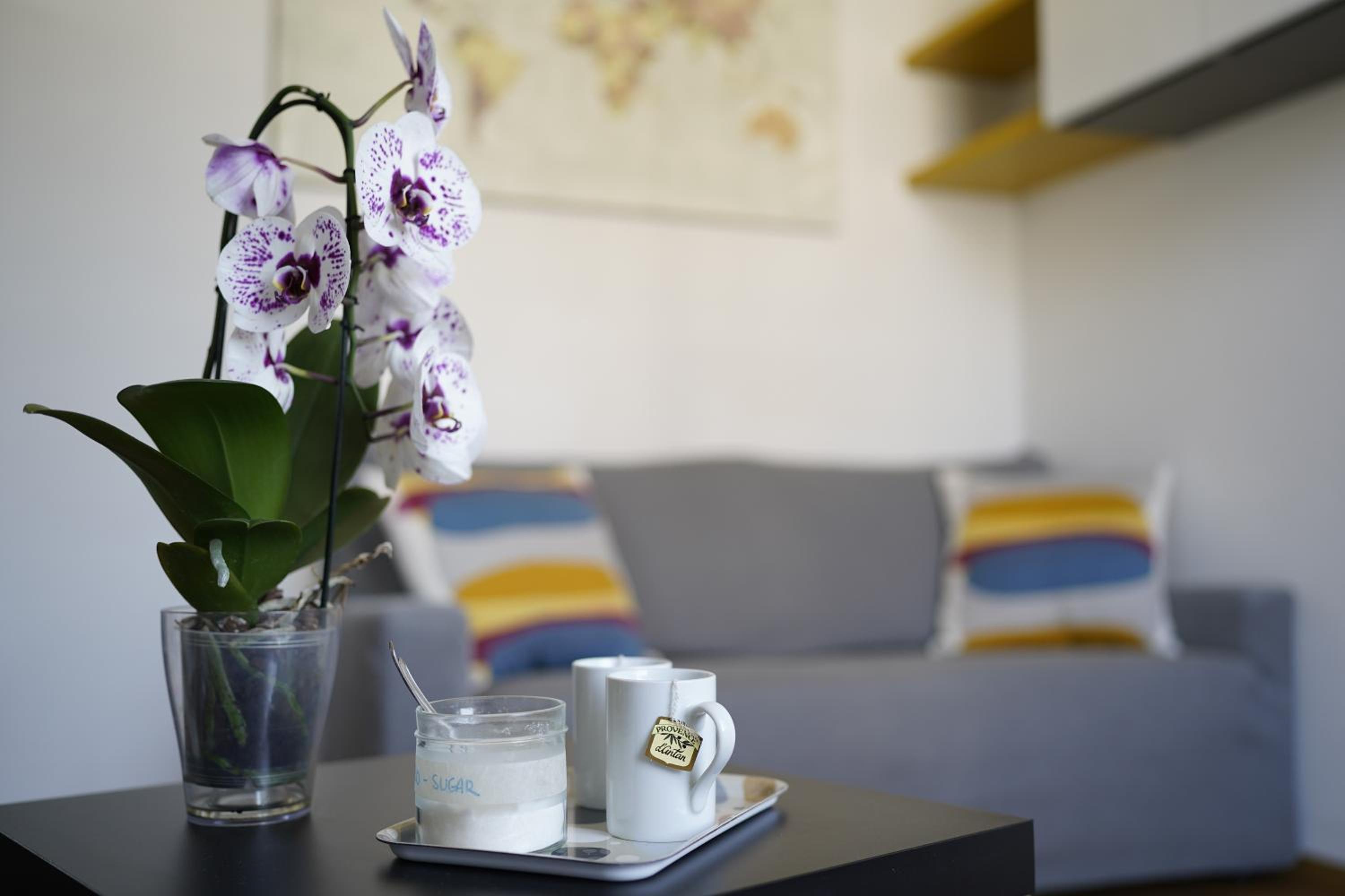 Villa Demidoff Apartment