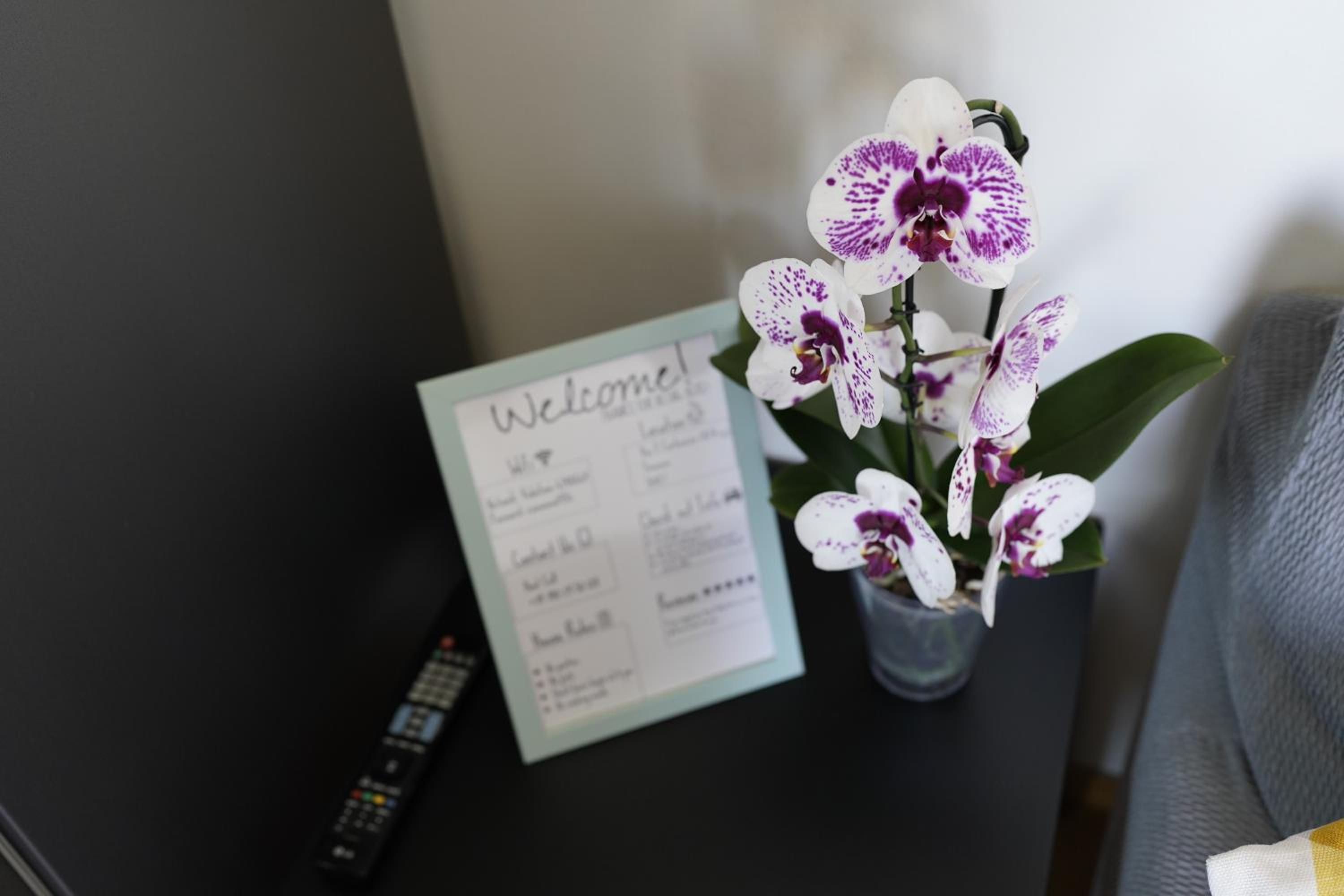 Villa Demidoff Apartment