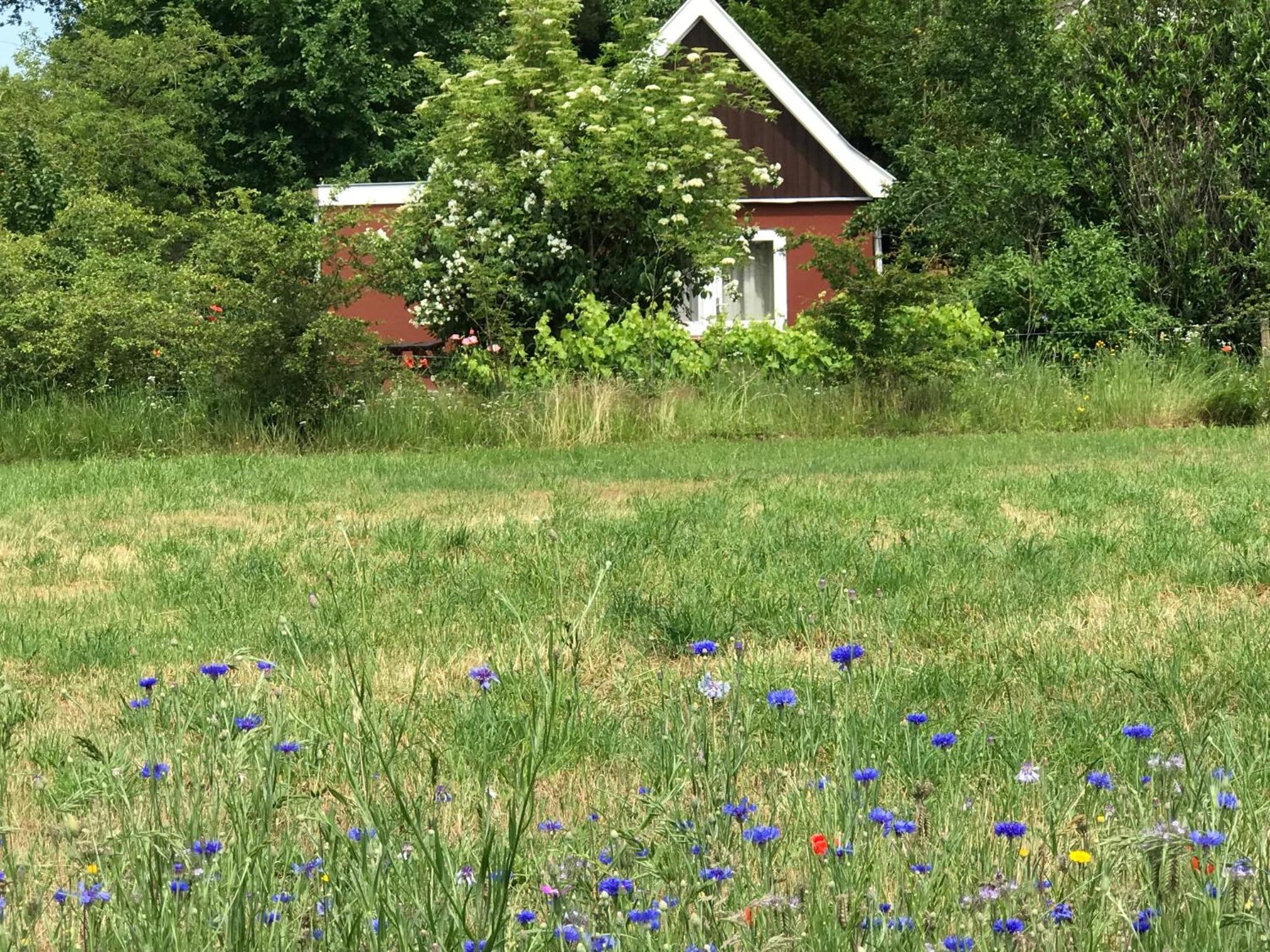 Vakantiehuisje Achterhoek view 5
