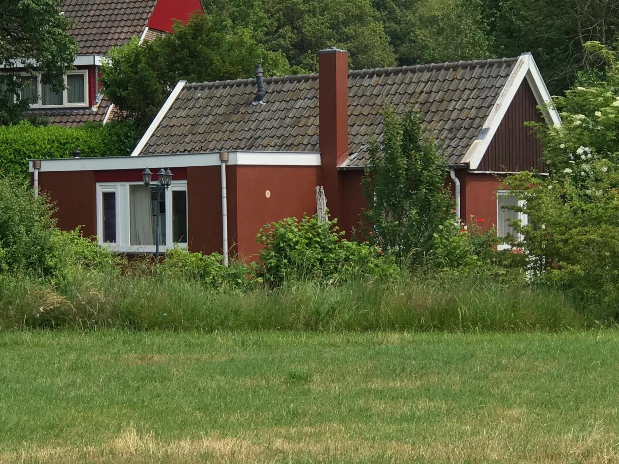 Photo 12