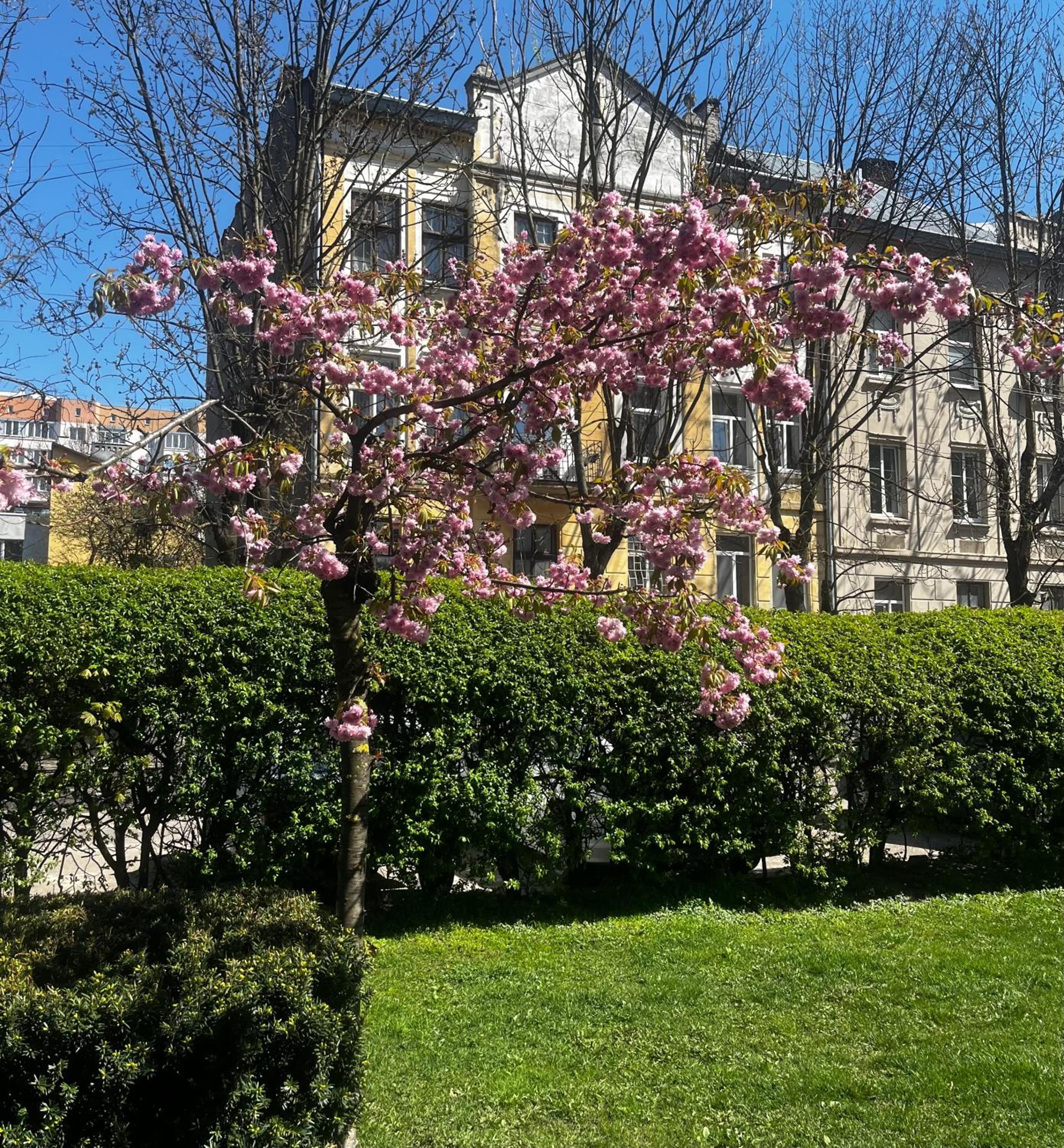 Iren Smart Apartment view 3