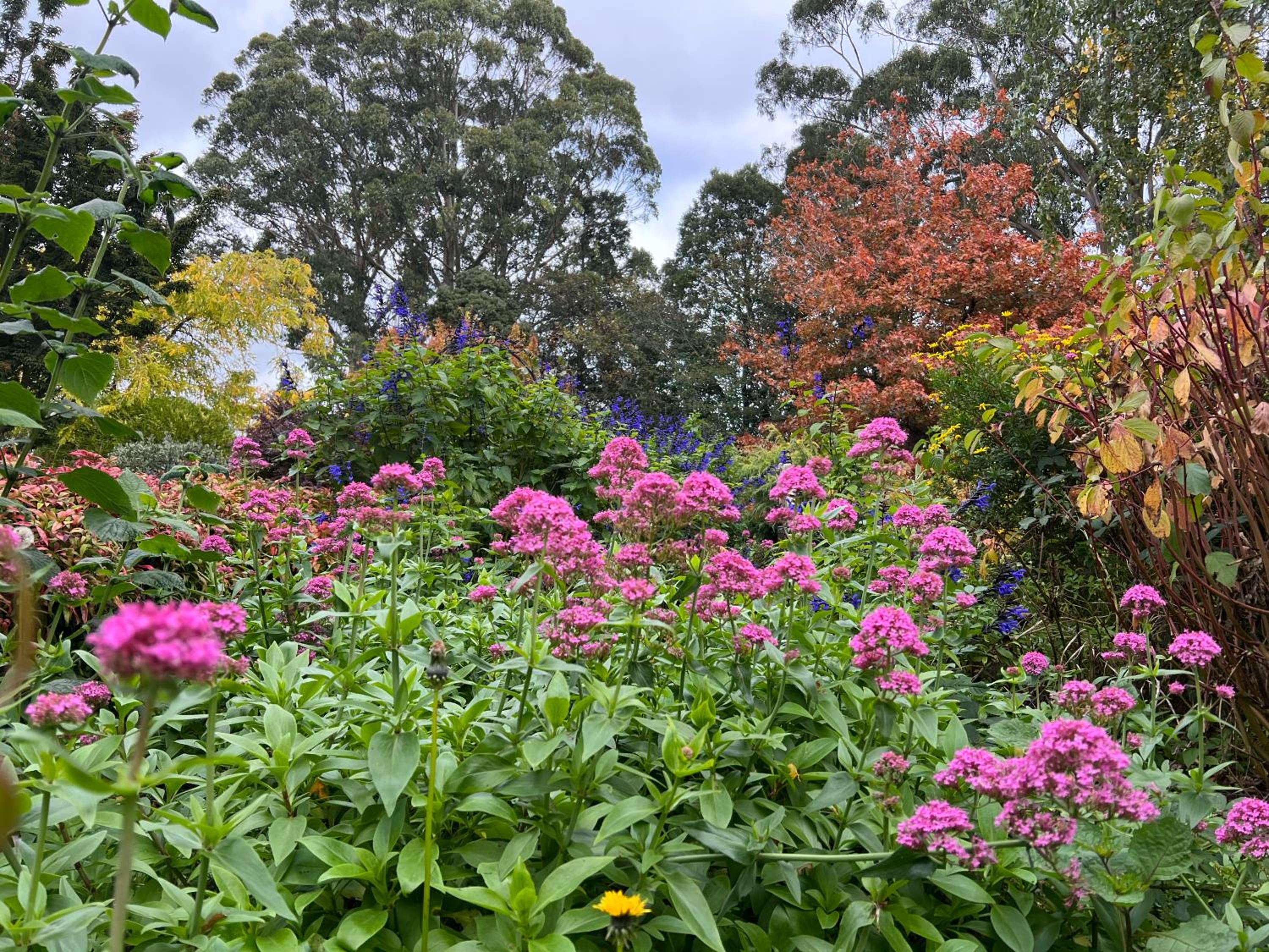 Gracehill Accommodation