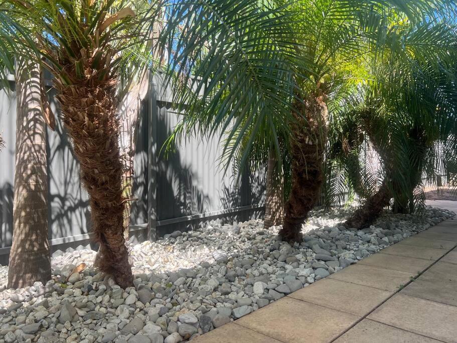 Stylish 3BR home with outdoor entertaining