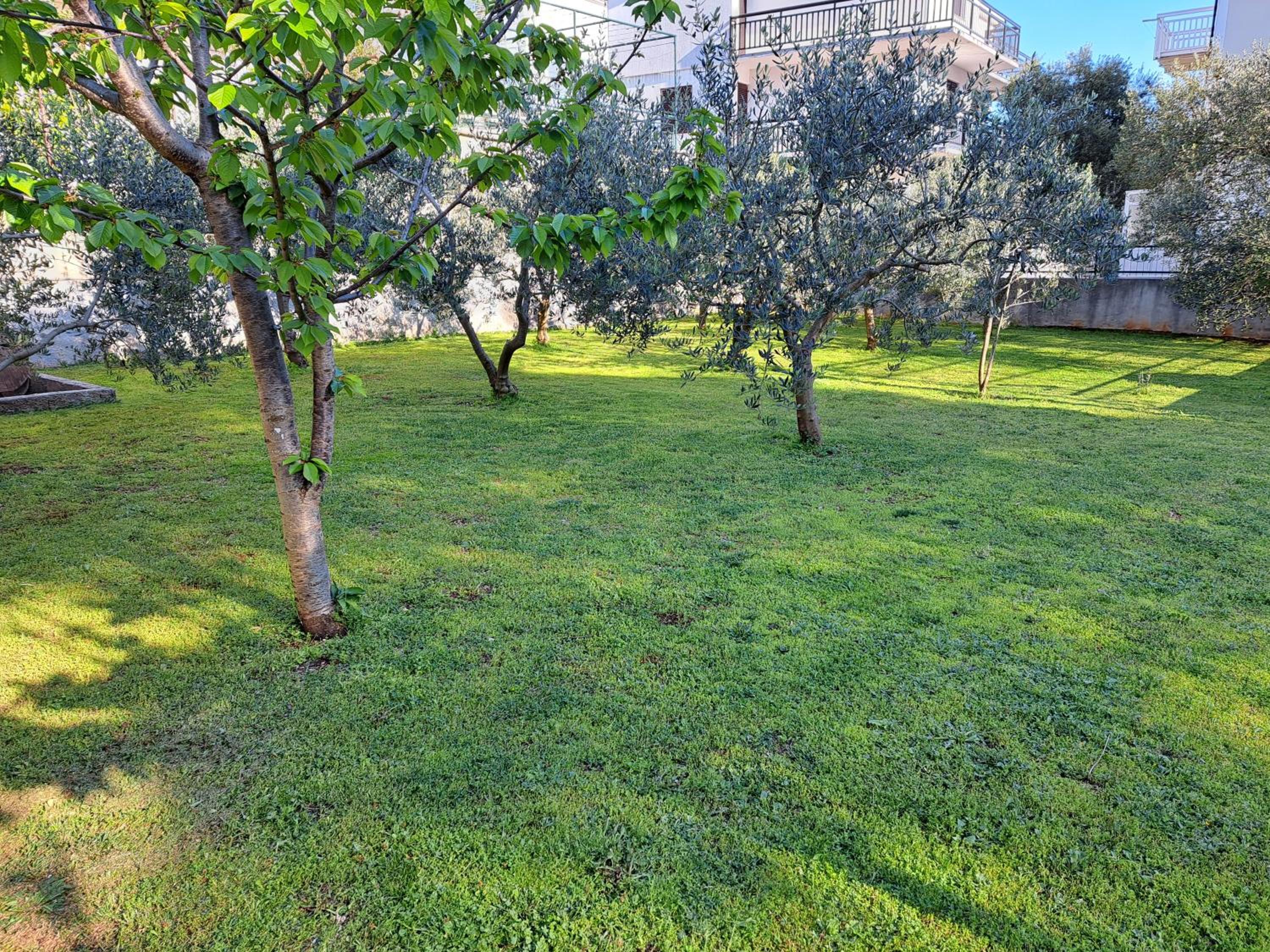 Jelaska Apartment