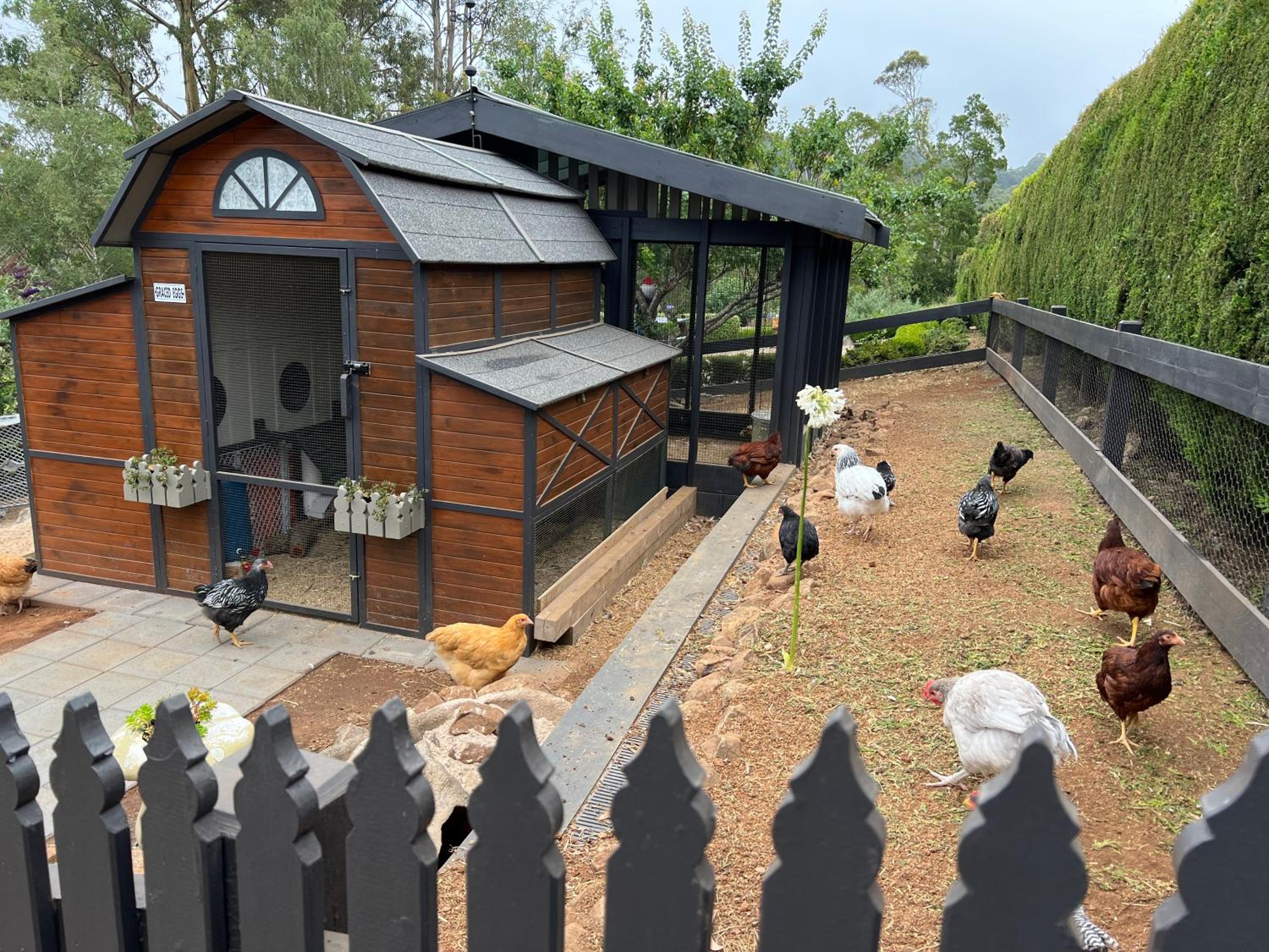 Gracehill Accommodation