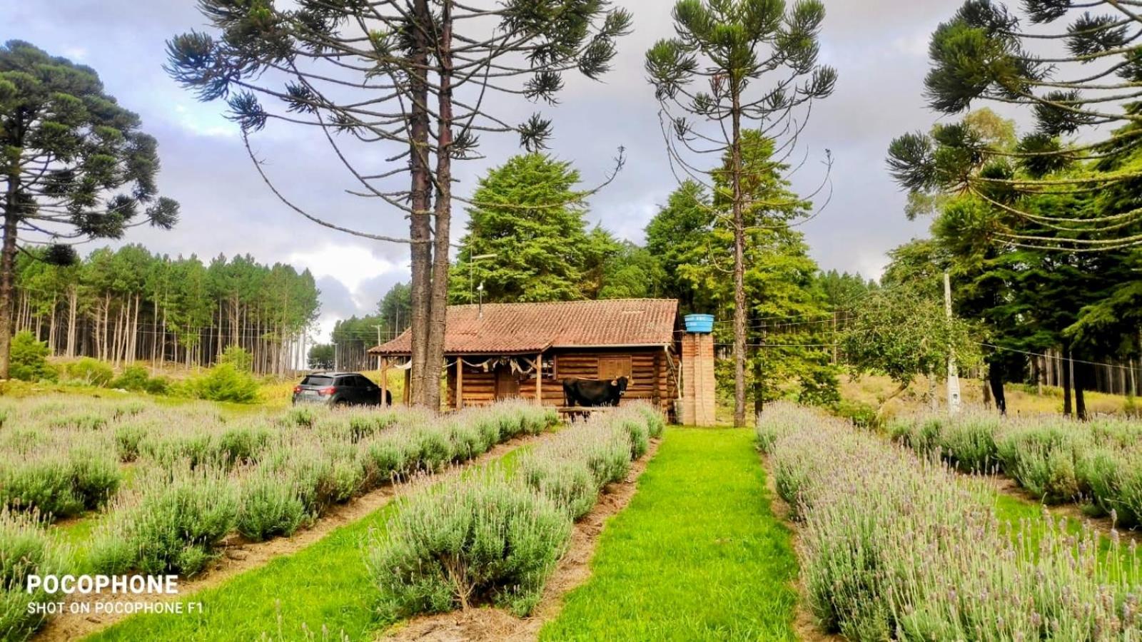 Cabana no Sítio do Sossego - Gramado/São Chico - RS