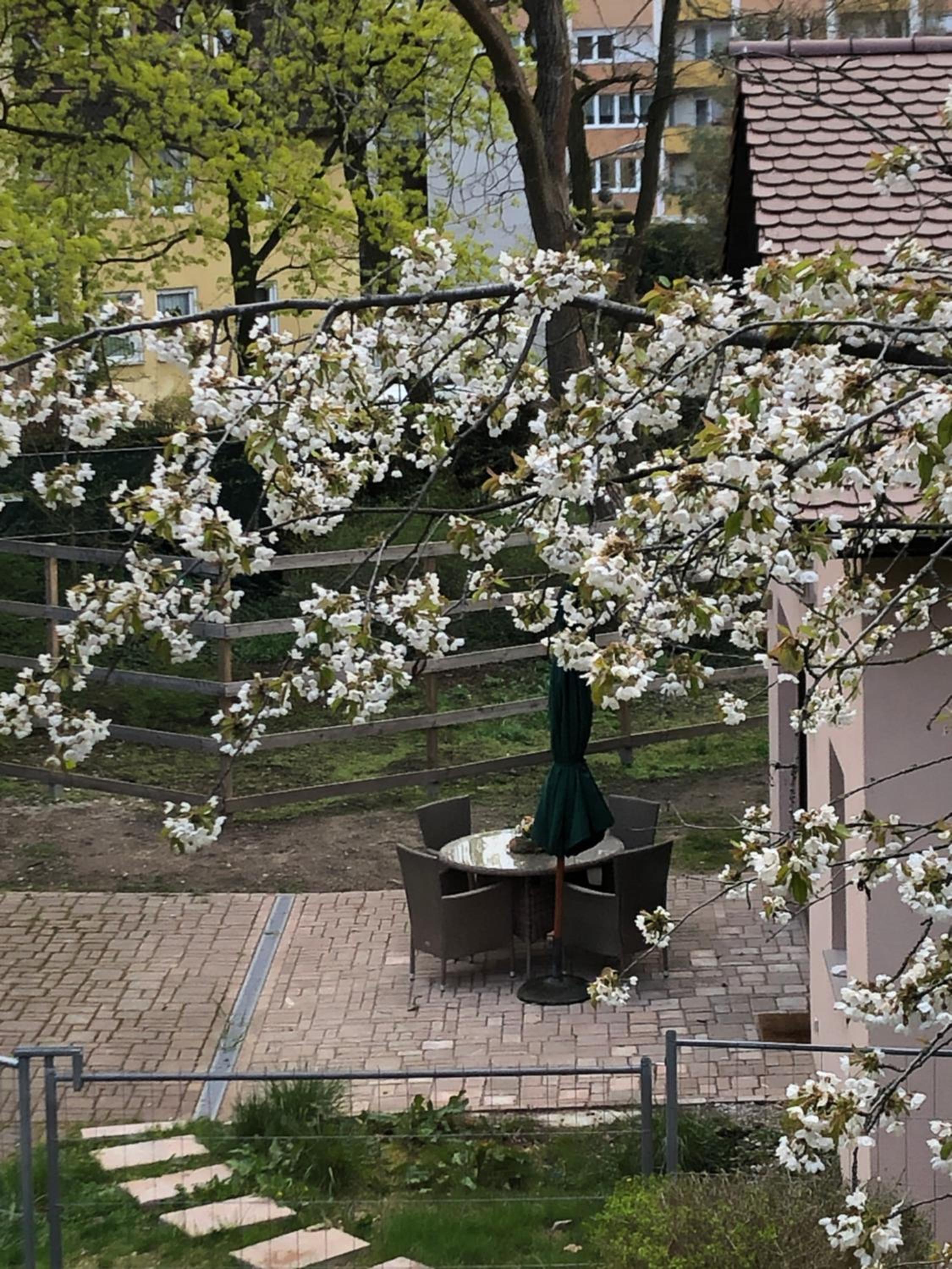 Forsthaus zu Lichtenhof view 2