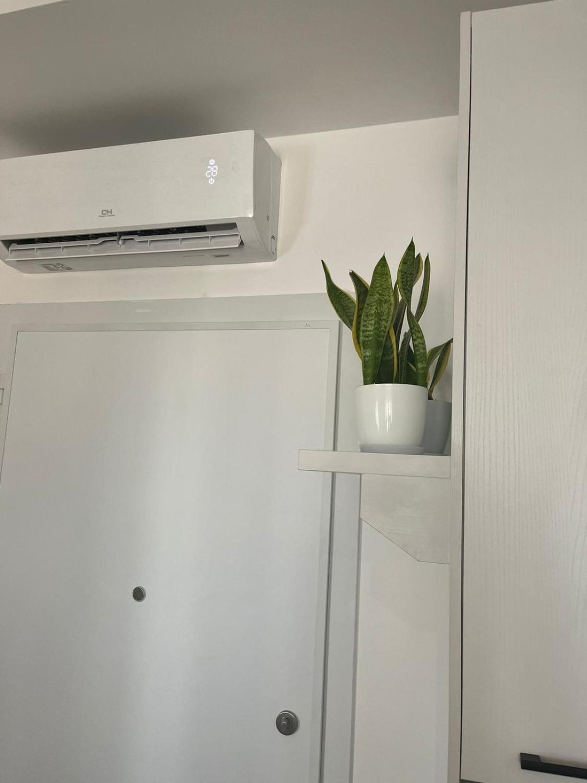 Comfy Nest Apartment- free parking