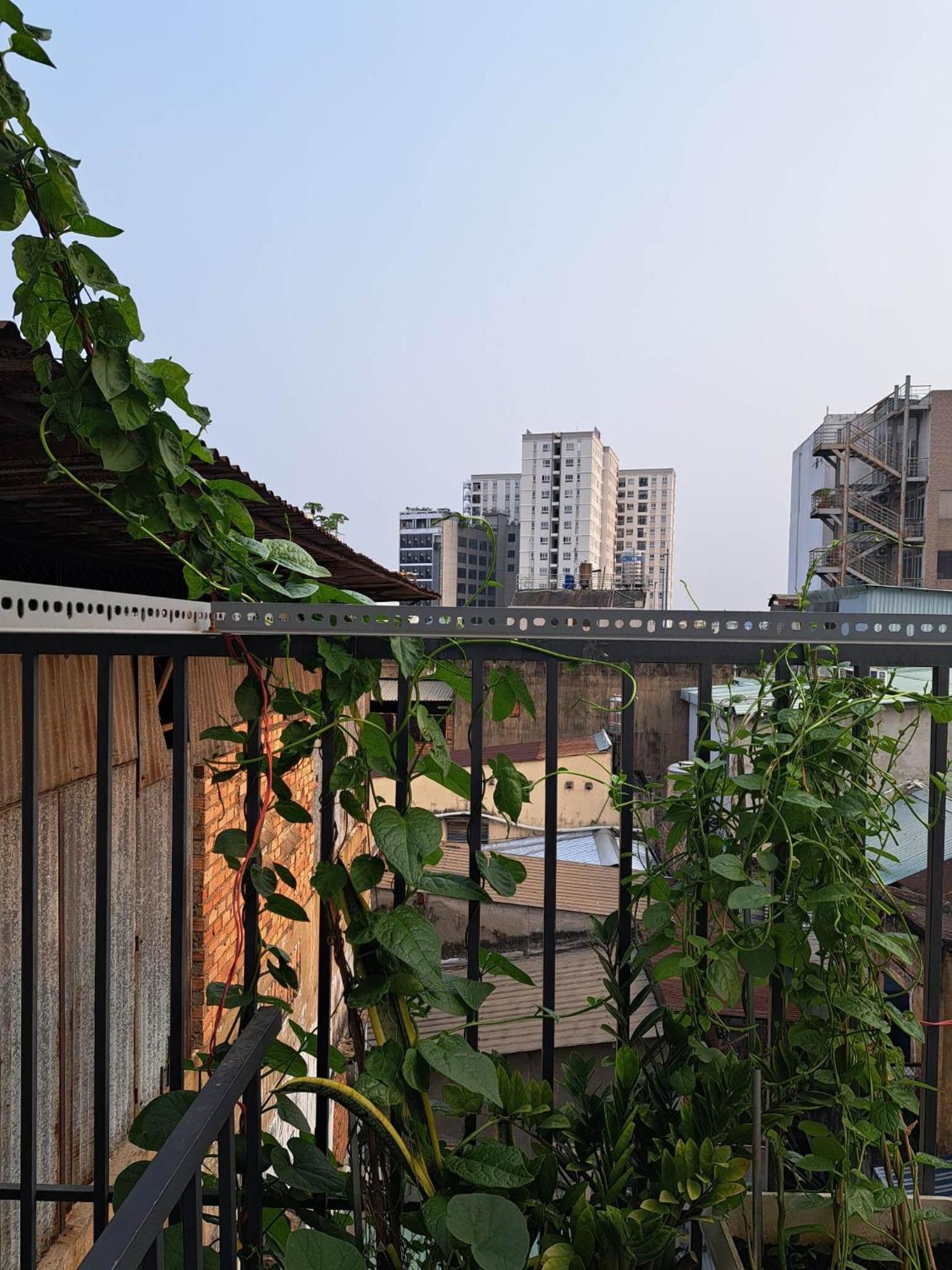 Homestay 37 AD