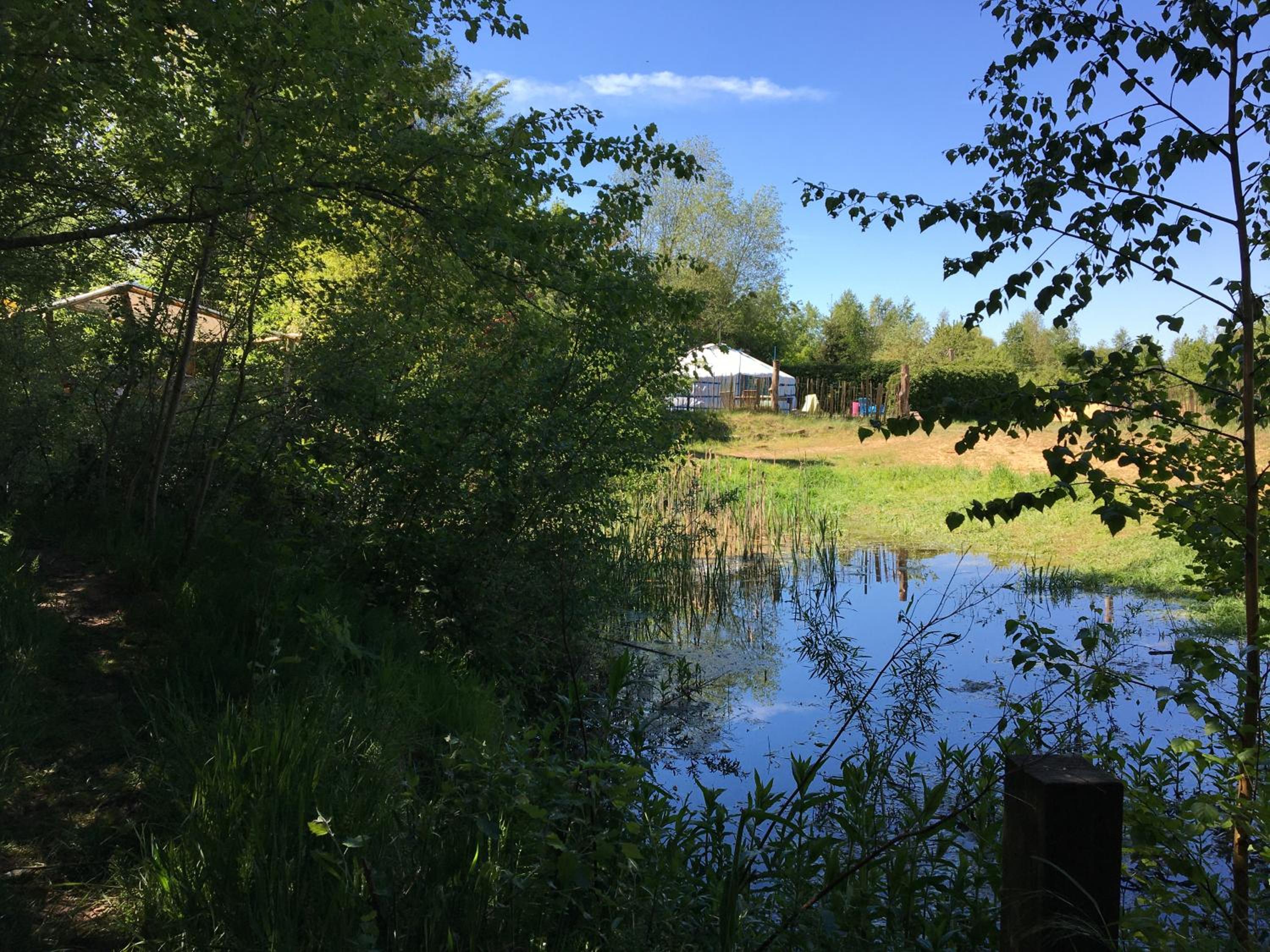 Ecostay de Wildernis