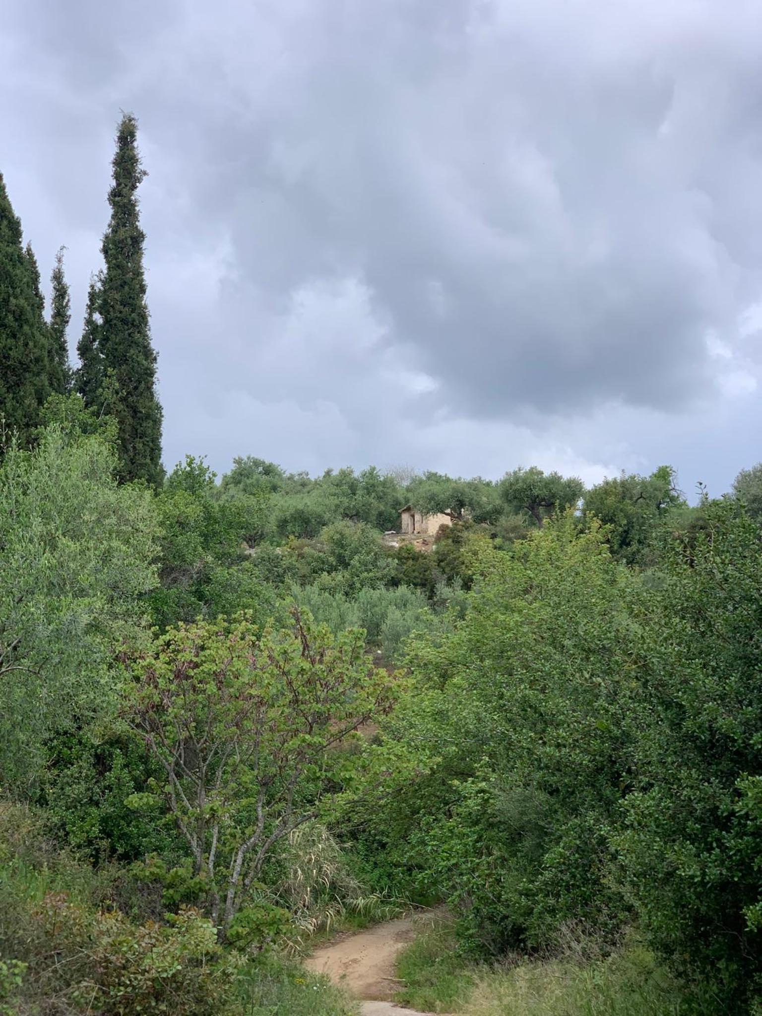 Villa Delfini