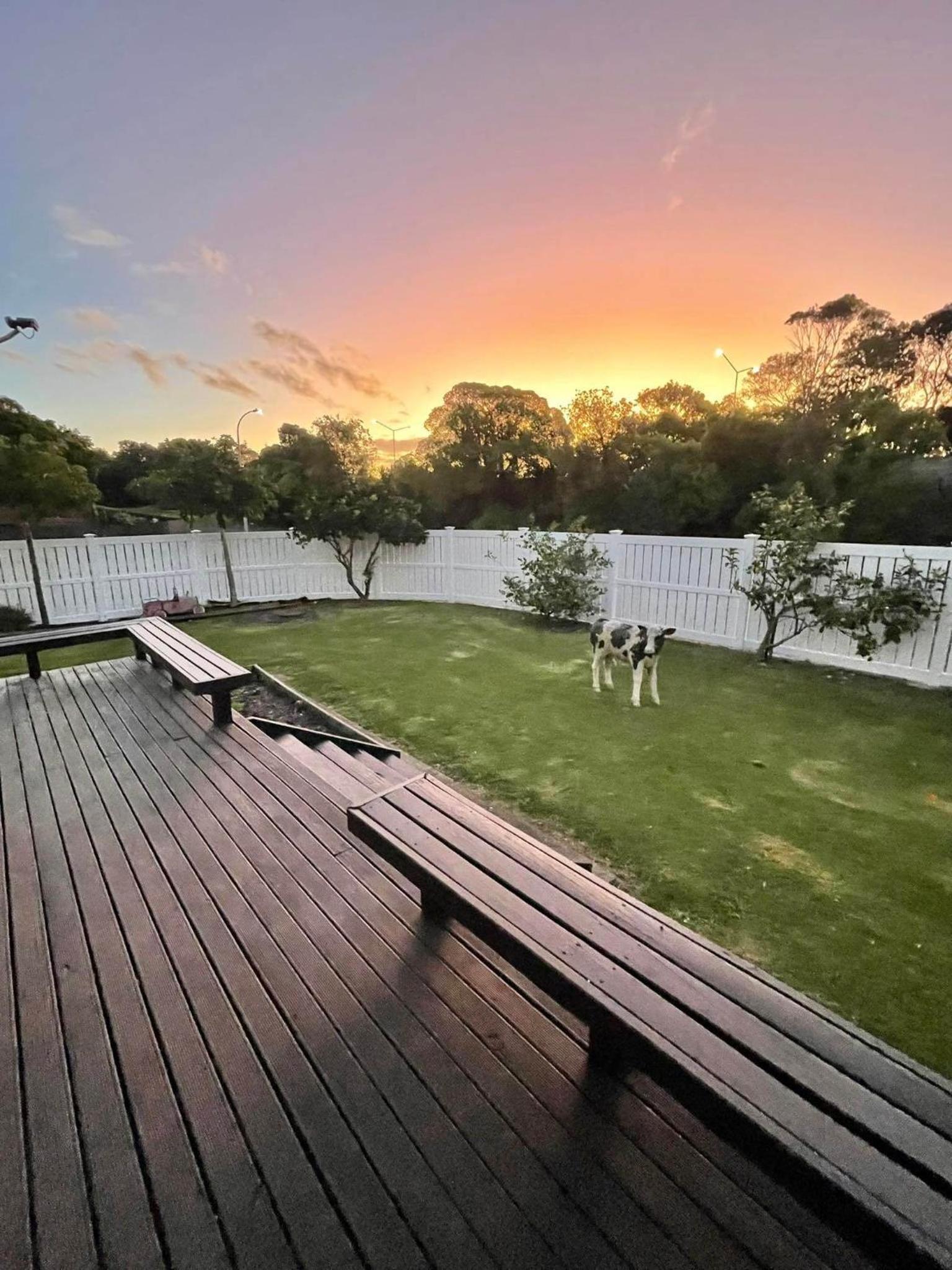 Aucktons house