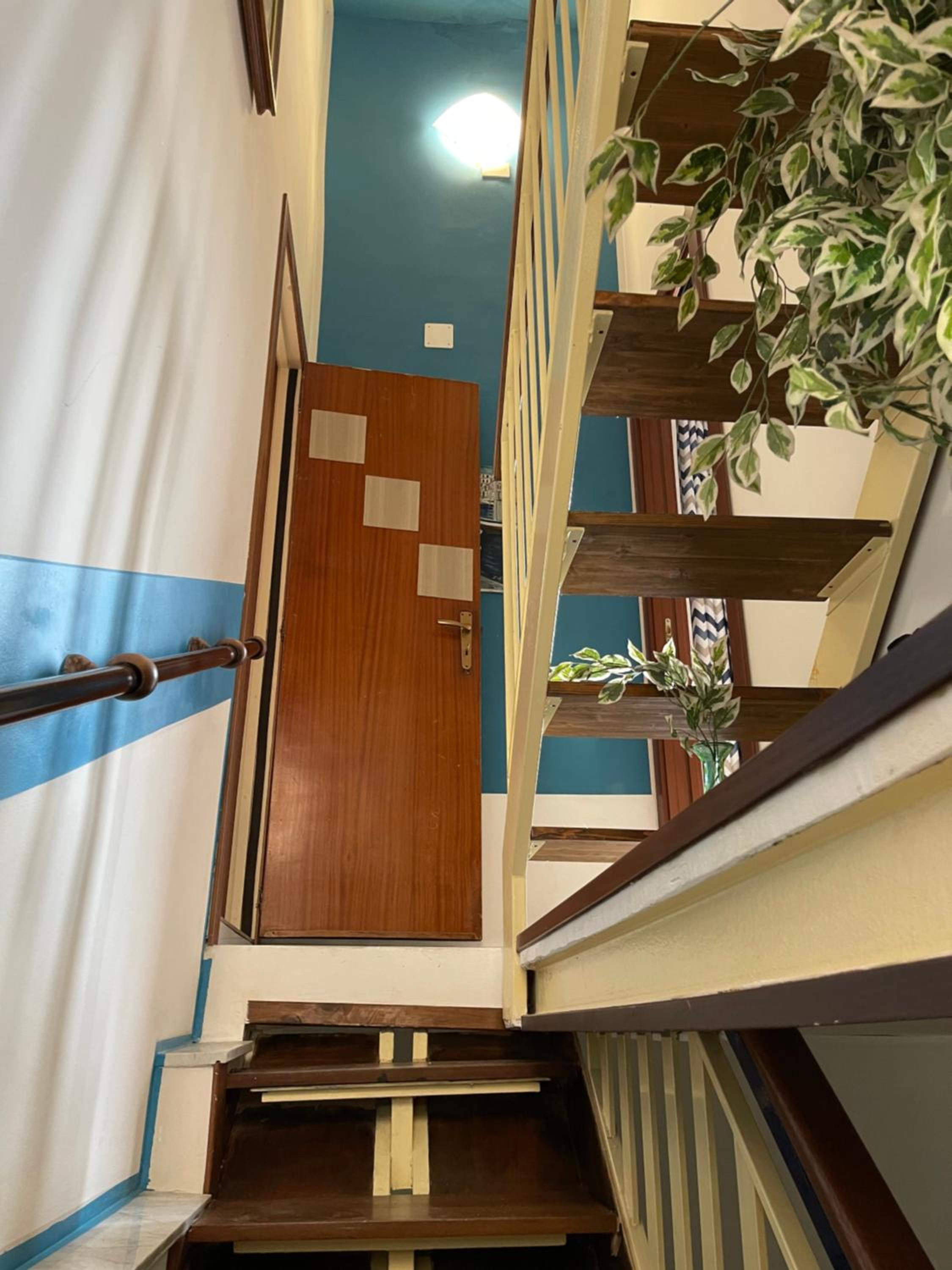 Suite 53