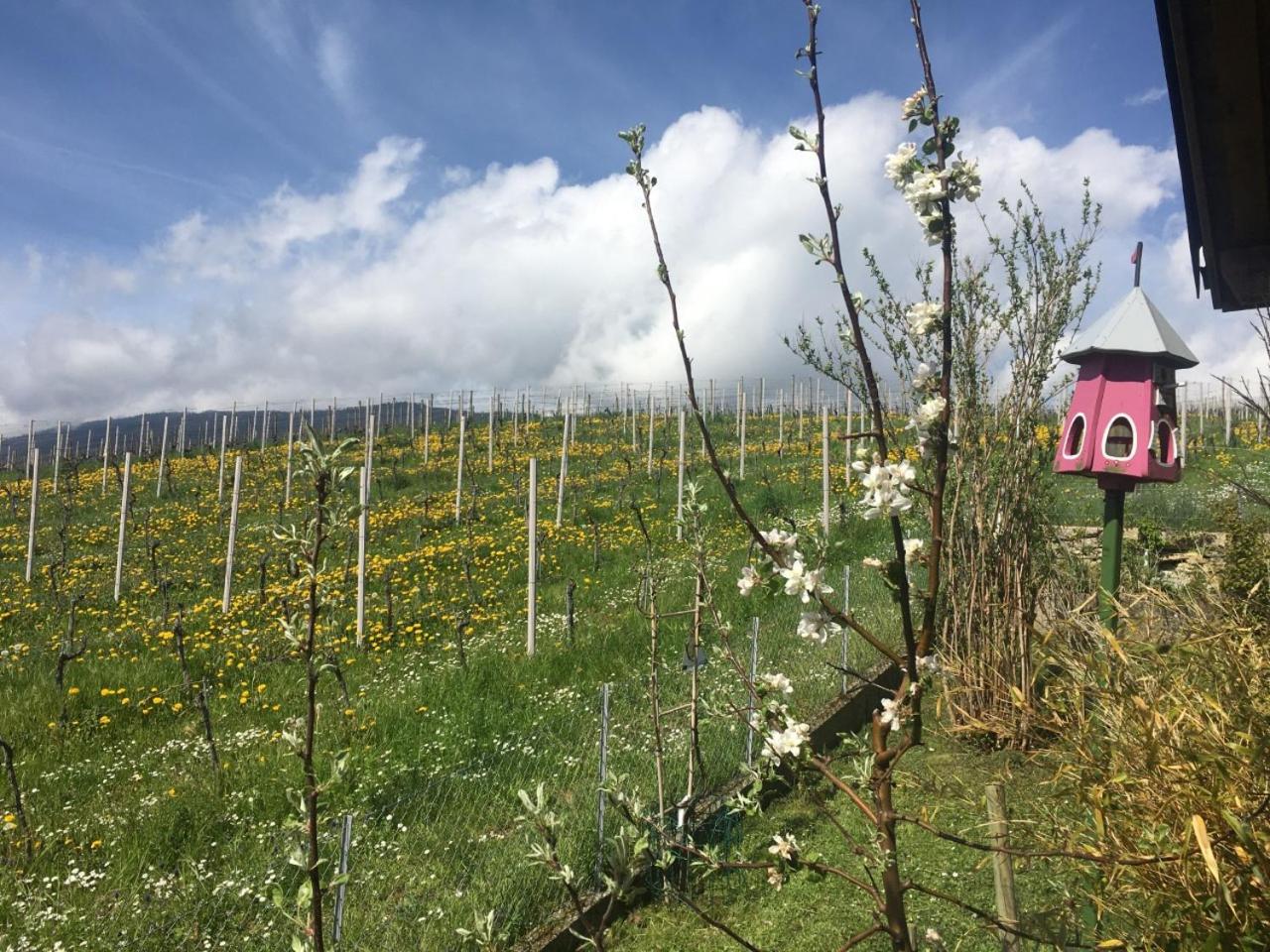 Les Rossets