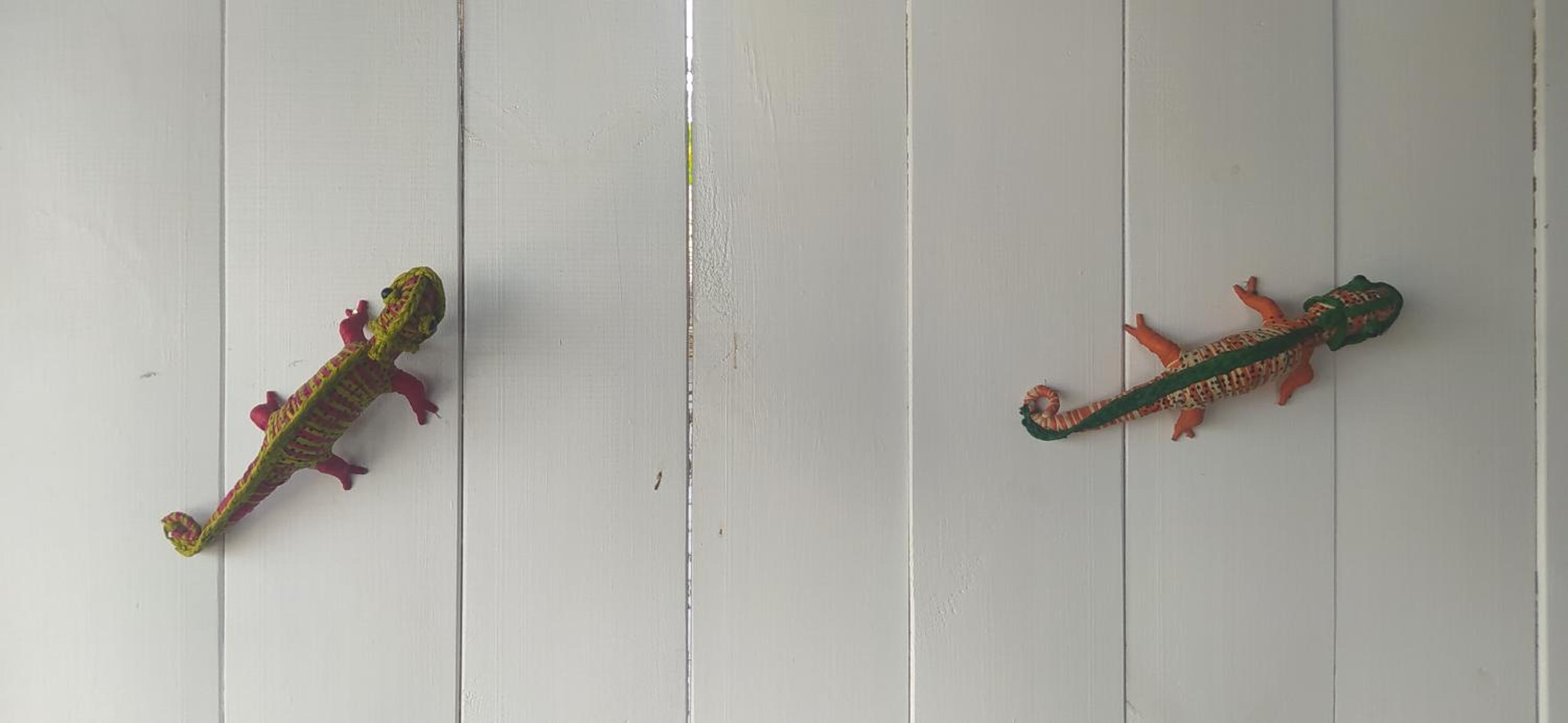 Studio GECKO chez Fanny et Alain