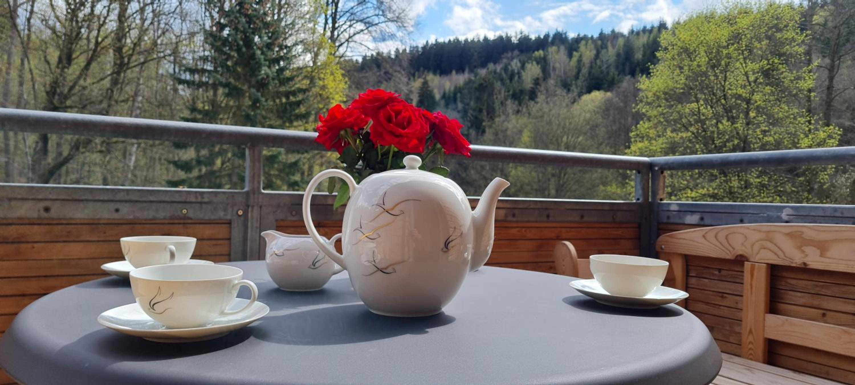 Gastehaus Hirschstein - Hochwertige Ferienwohnung in sehr ruhiger Lage direkt am Fluss Goltzsch - Property Image 25