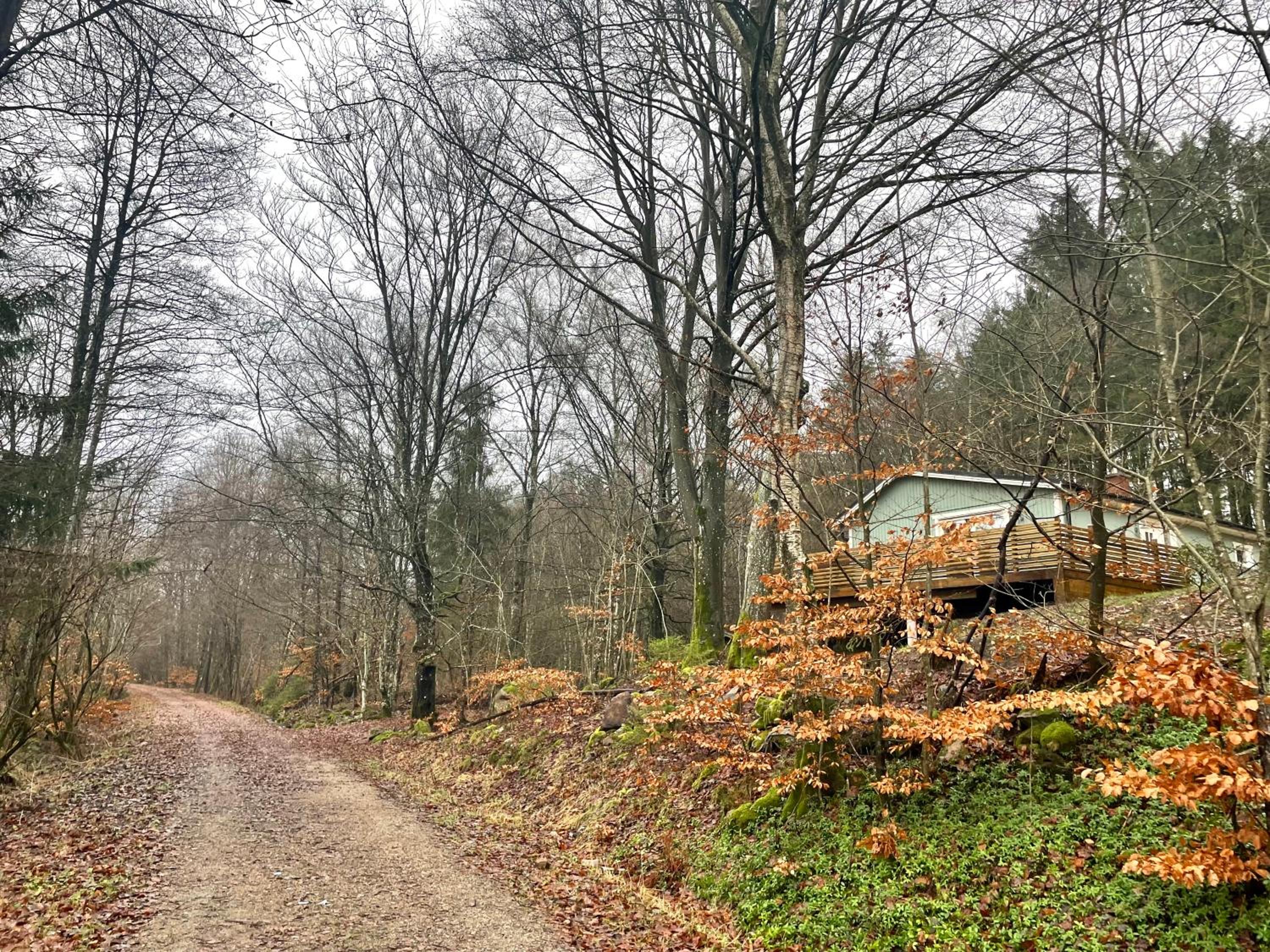 Äspinge skogsvilla
