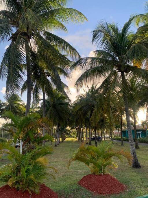 Hana Mana Bungalow - Plage proche, Grande Terrasse