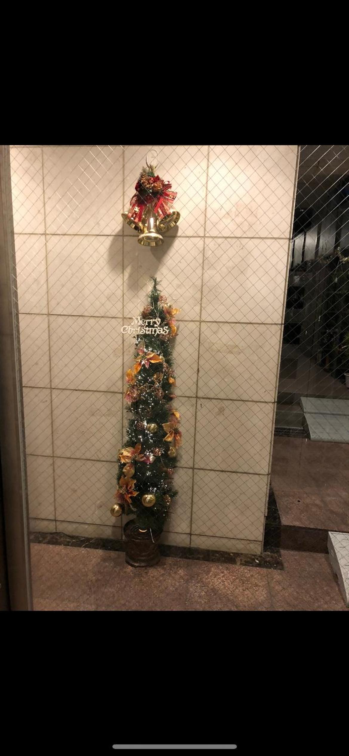 東洋の家-26 square meter Treadmi Garden House101
