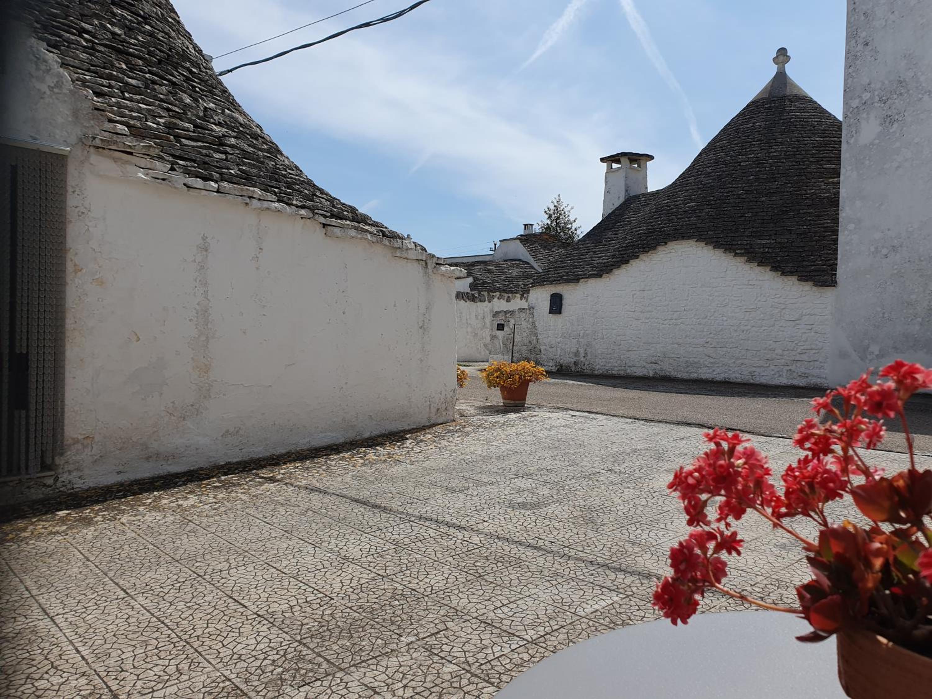Mamapulia Home view 2