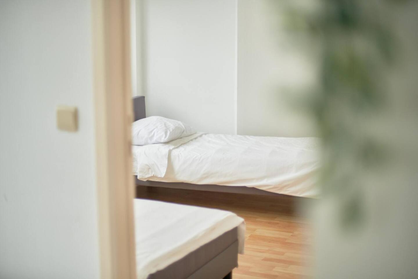BoLofts