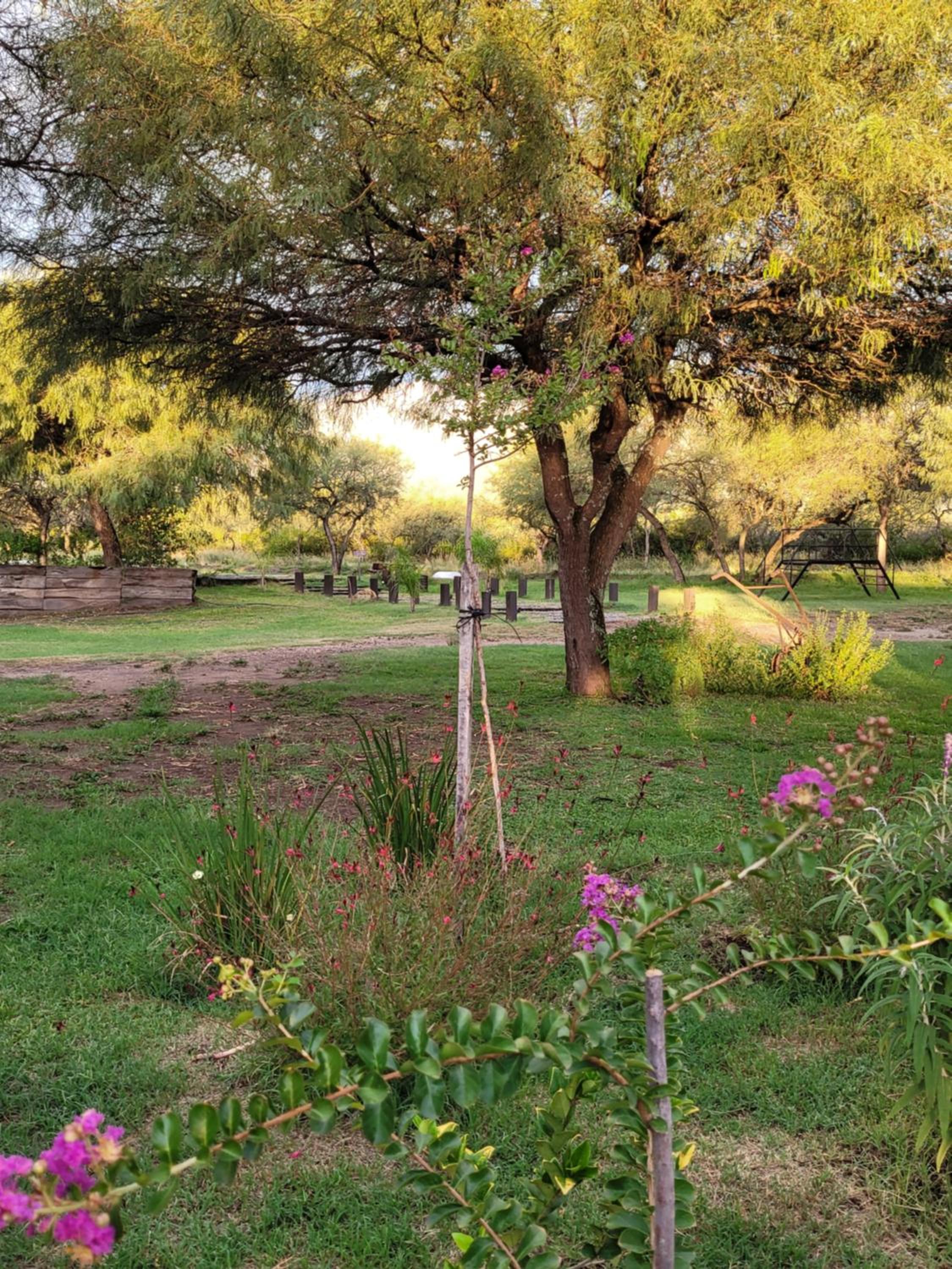 La Comarca